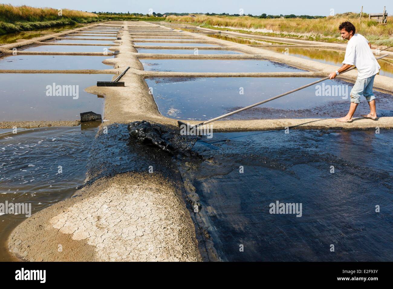 Frankreich, Vendee, L'Ile-d ' Olonne, Benoit Salz Arbeiter, die Vorbereitung der Salzwiesen Stockfoto