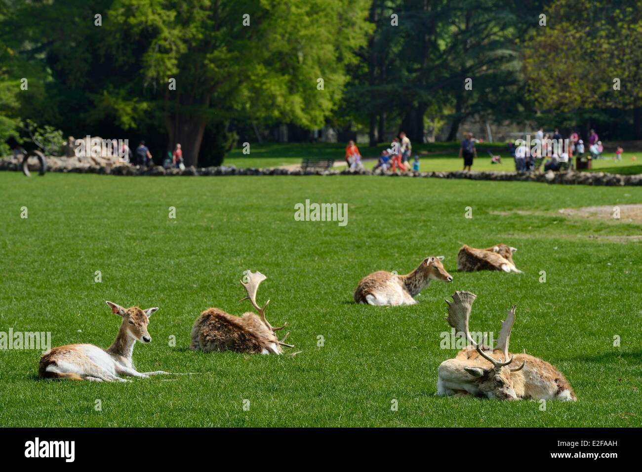 Frankreich, Rhone, Lyon, Parc De La Tête d ' or (Tête d ' or Park), den Wildpark Stockfoto