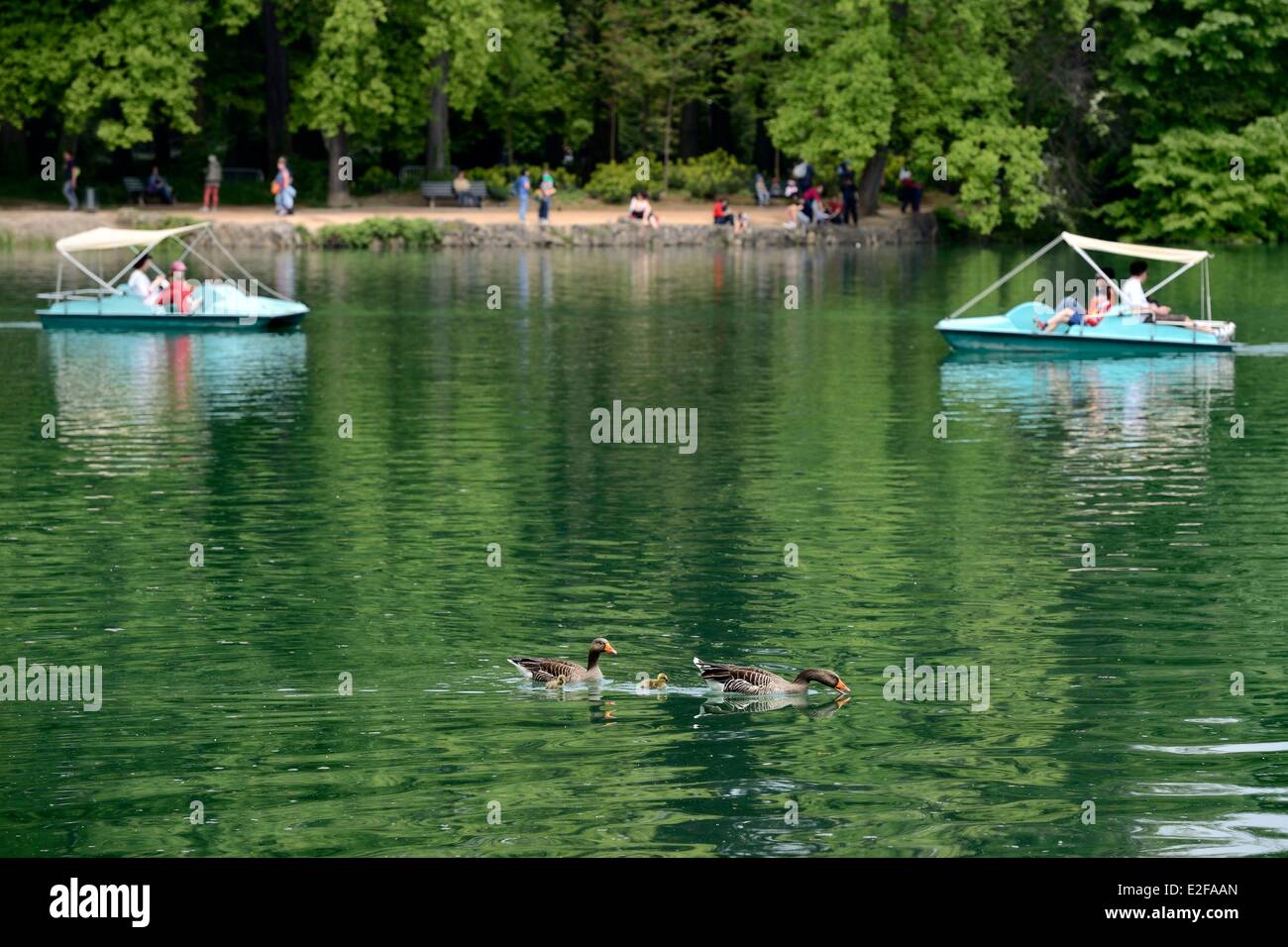 Frankreich, Rhone, Lyon, Parc De La Tête d ' or (Tête d ' or Park), der See Stockfoto