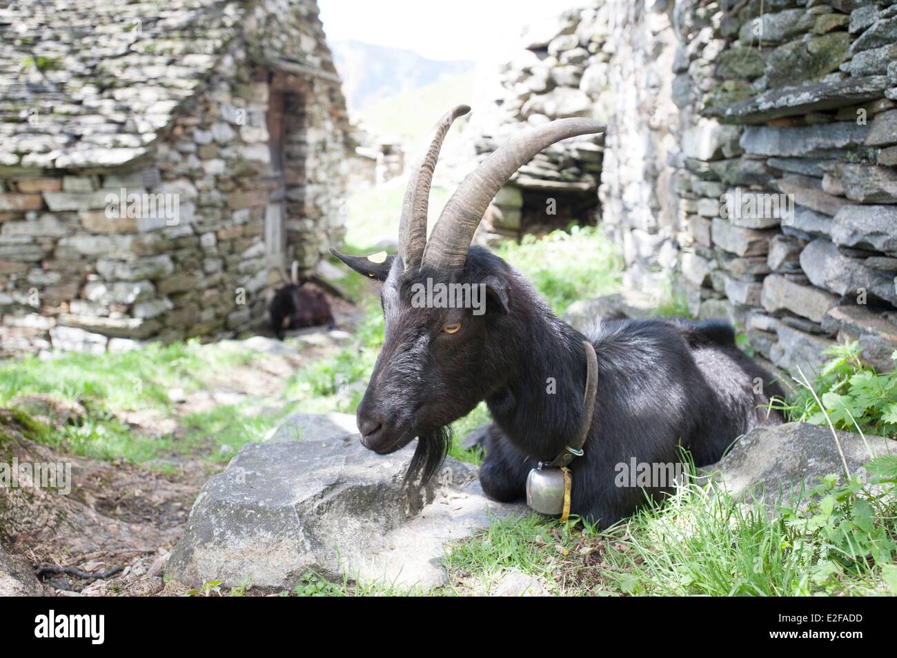 Schweiz, Tessin, Val Verzasca, Odro Bergsiedlung Stockfoto