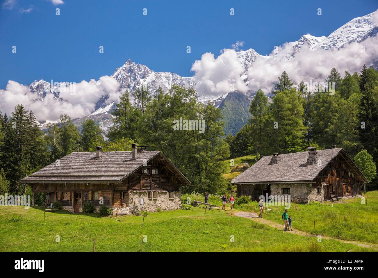 Frankreich Haute Savoie Les Houches Weiler des Hochgebirges Weiden des Charousse mit Blick auf das Massif du Mont Blanc Montblanc du Stockfoto