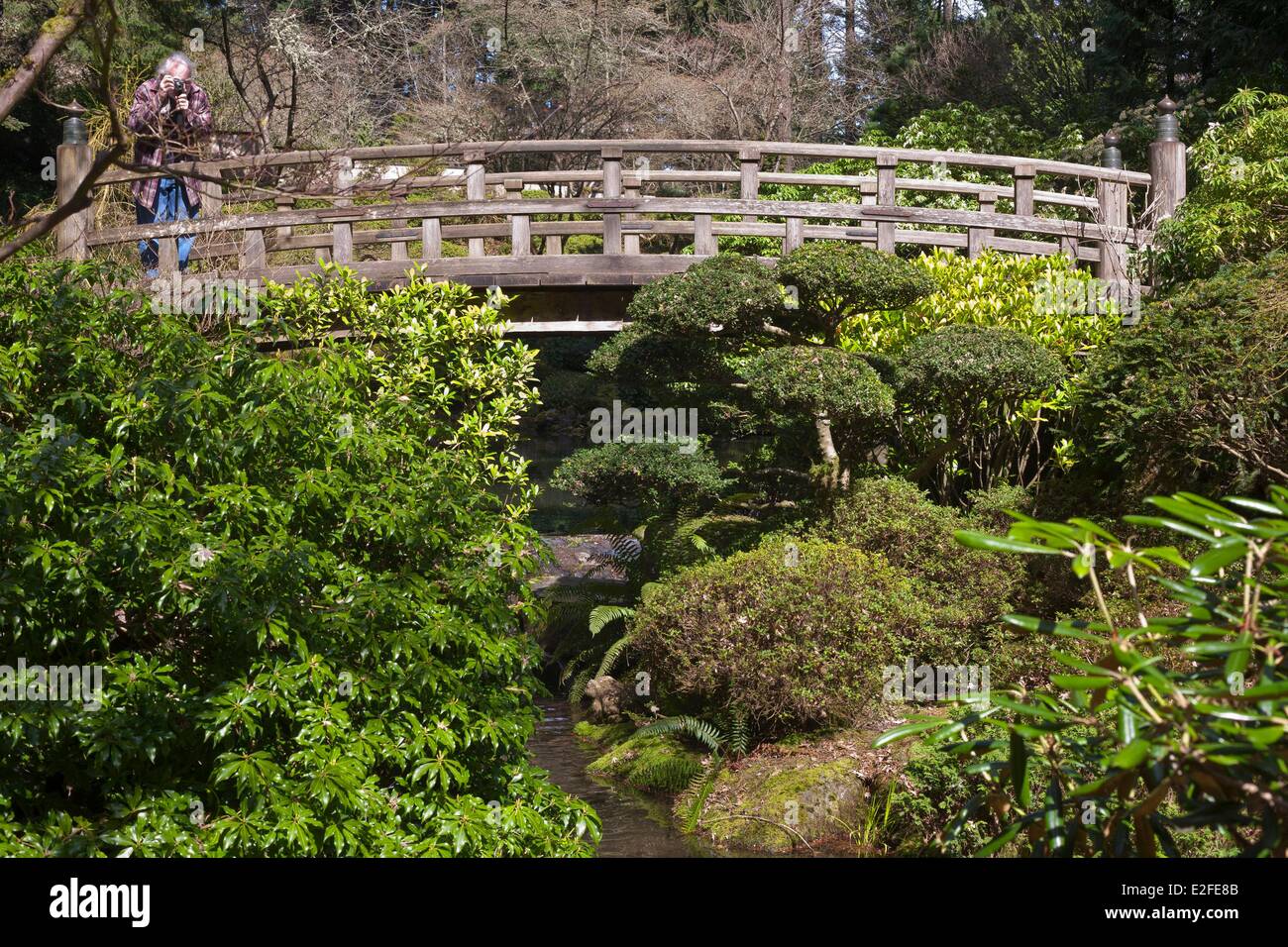 USA, Oregon, Portland, Washington Park, japanischer Garten, entworfen von Professor Takuma Tono und eröffnete 1967 Stockfoto