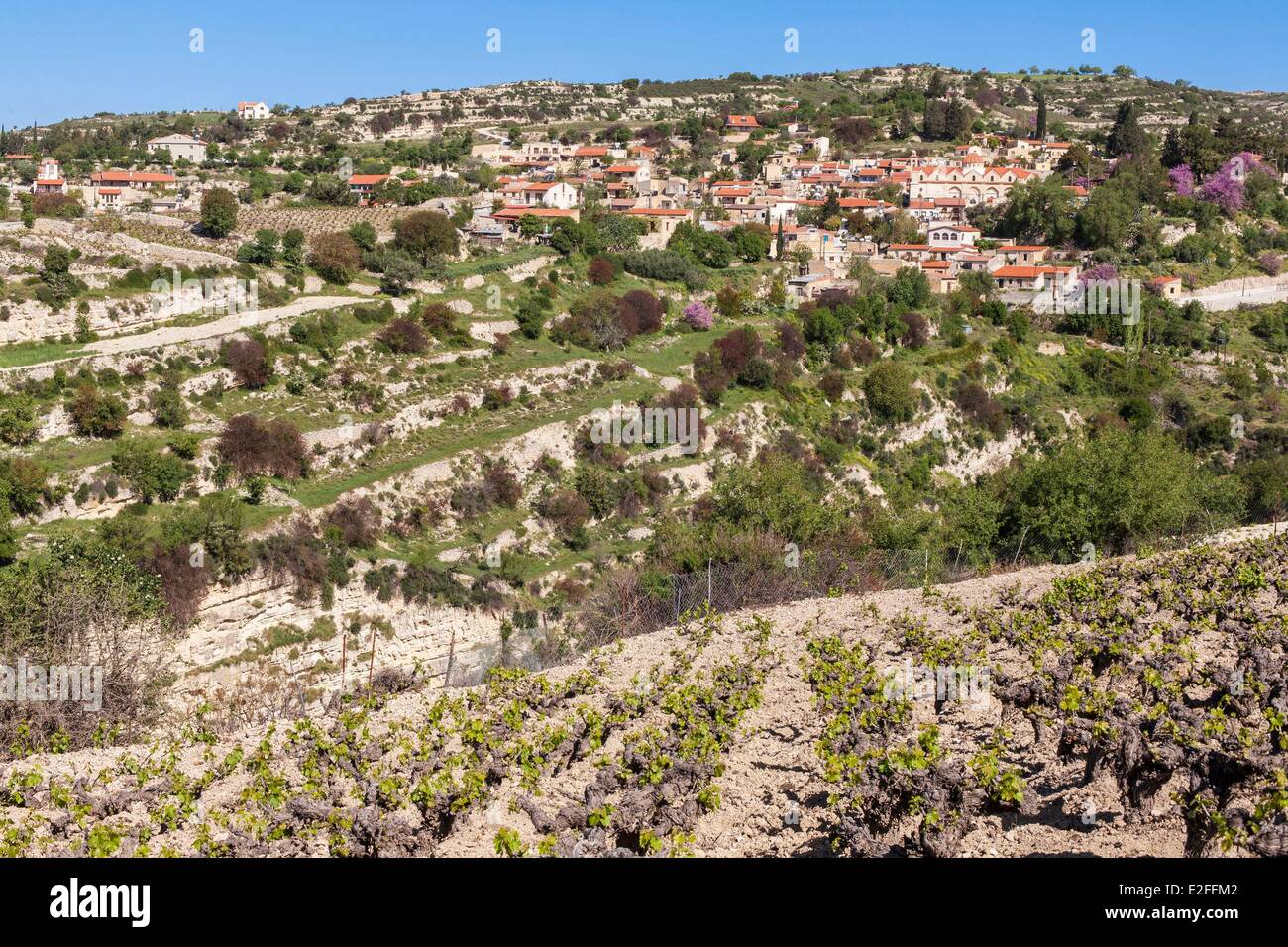 Zypern, Troodos-Gebirge, Weinregion Laona, Vasa Dorf und seine Weinberge Stockfoto