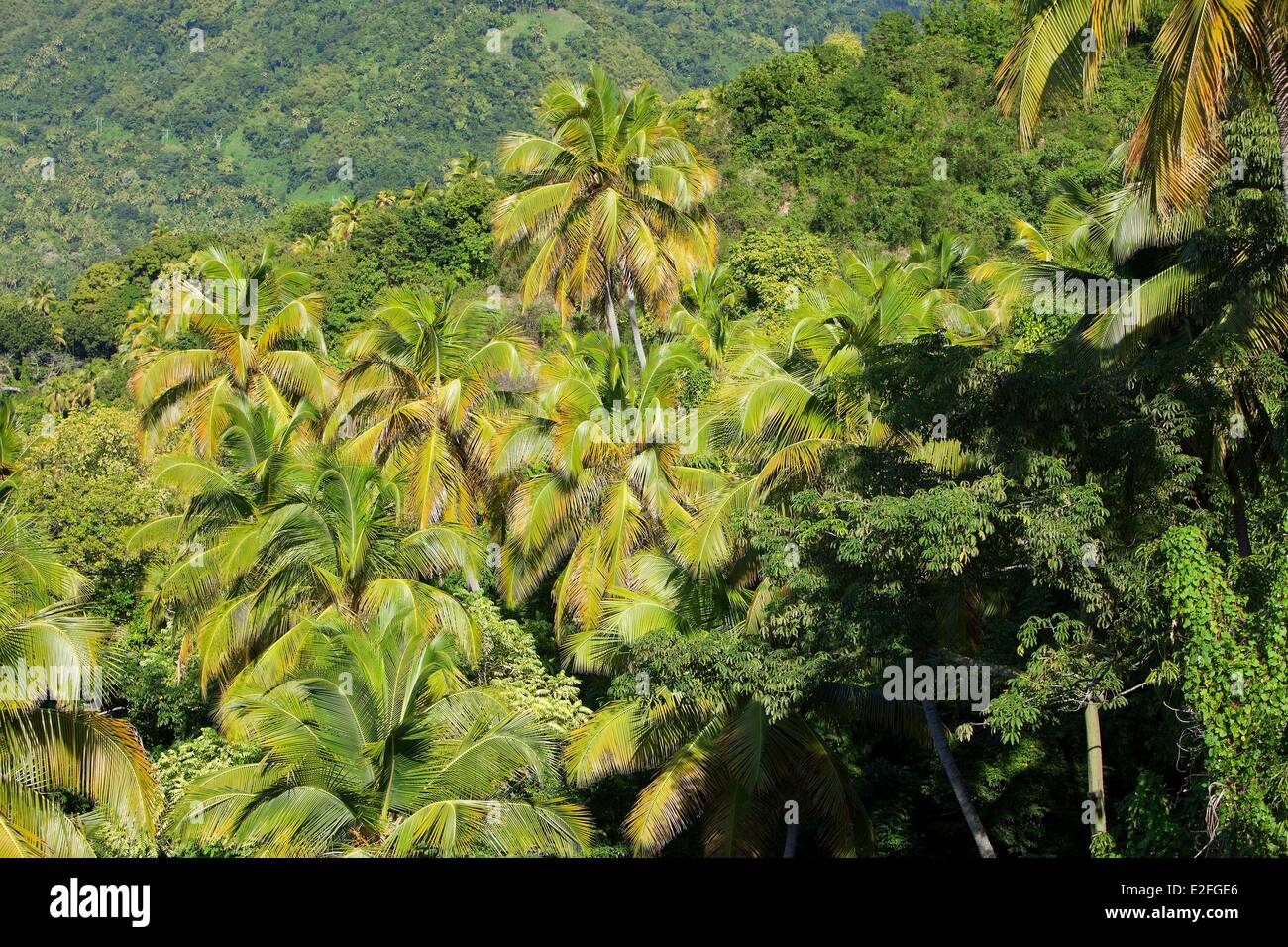 Antillen Karibik, Inseln des Windes, Saint Lucia, West Island, Soufriere District, Soufriere Stockfoto