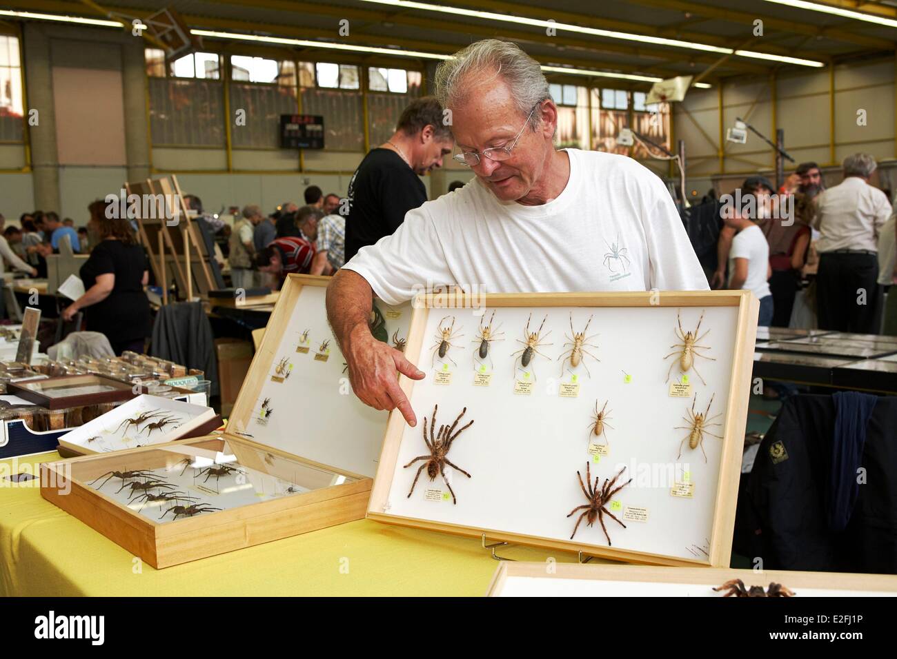 Frankreich Essonne Juvisy Sur Orge International Stock Exchange von Insekten Andre Leetz Arachnologist stellen wir einige eingebürgert Stockfoto