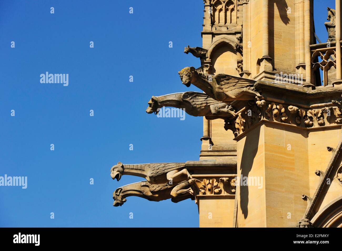 Frankreich Mosel Metz St Etienne Kathedrale Stockfoto