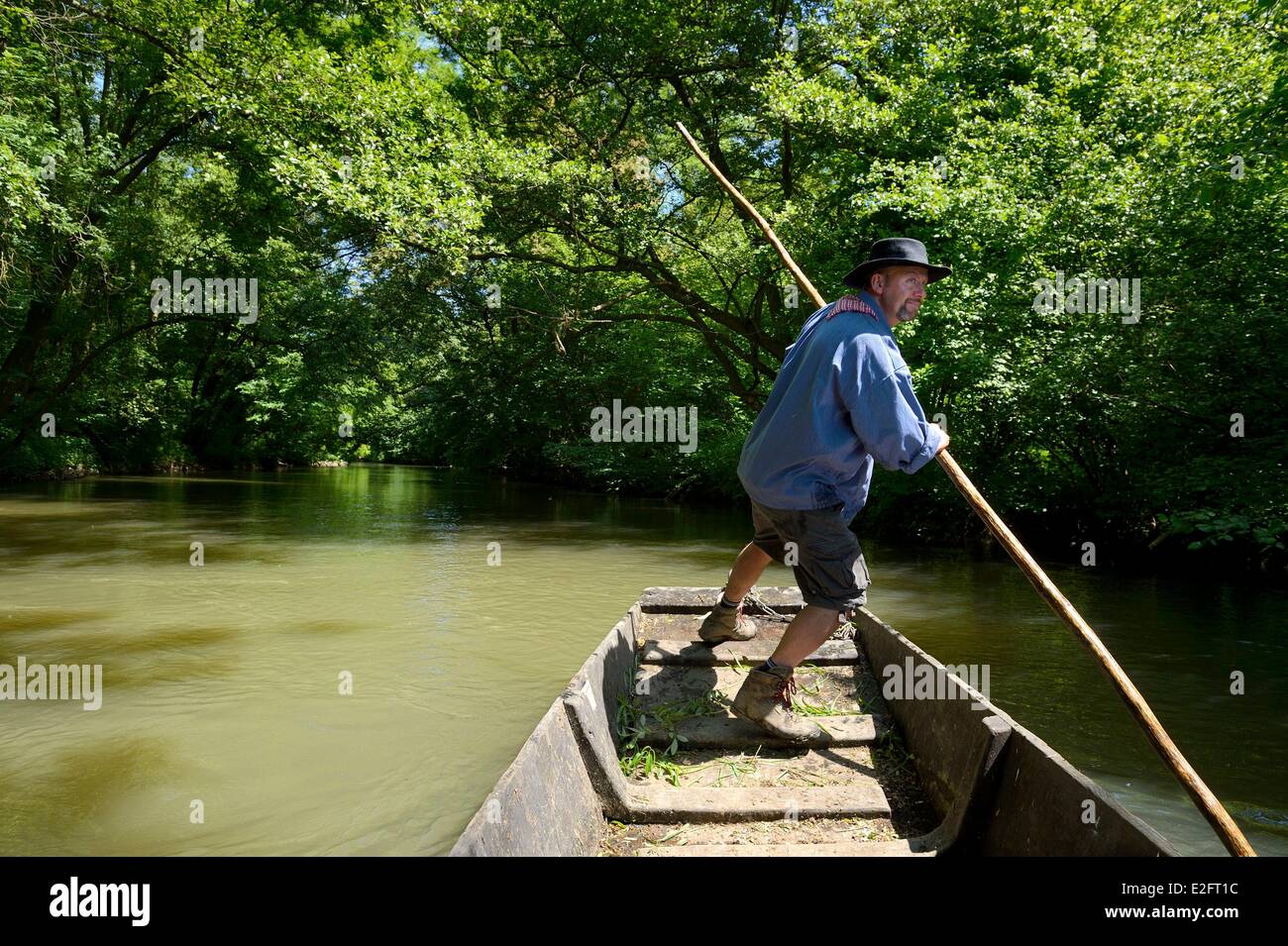 Frankreich-Bas-Rhin Ebersmunster und Muttersholtz Region Ried der Bootsmann Patrick Unterstock in einem kleinen flachen Holzboden-Boot Stockfoto