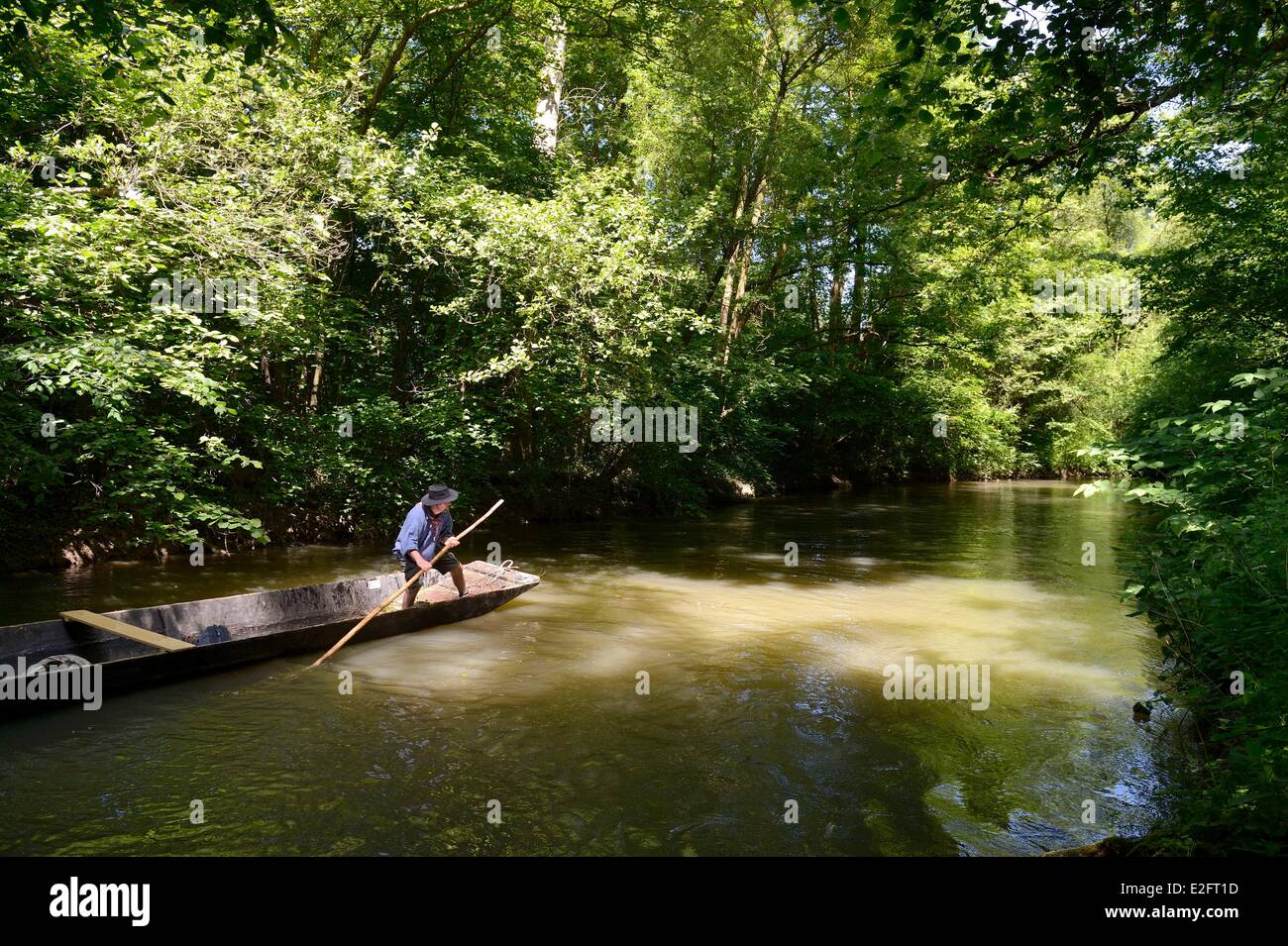 Frankreich-Bas-Rhin Ebersmunster und Muttersholtz Region Ried der Bootsmann Patrick Unterstock in einem kleinen flachen Holzboden-Boot Stockfoto