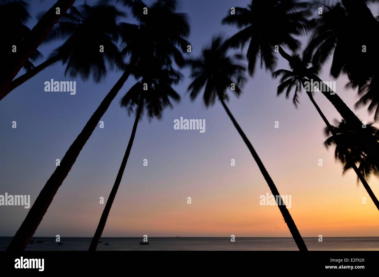 Vietnam Binh Thuan Provinz Mui Ne Strand Palmen bei Sonnenaufgang Stockfoto