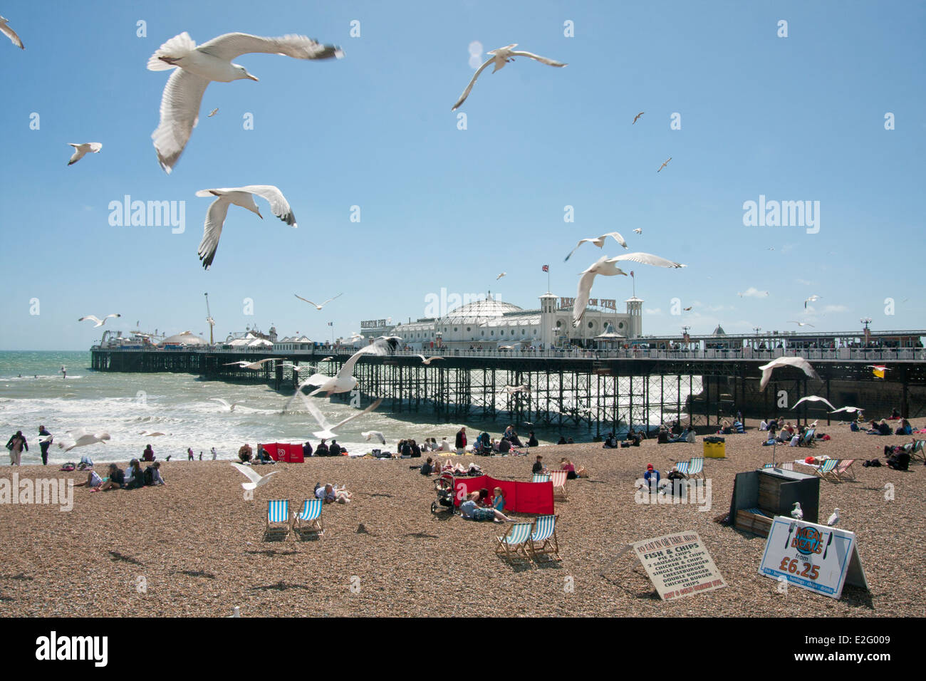Möwen am Strand in Brighton Pier, Sussex, England Stockfoto