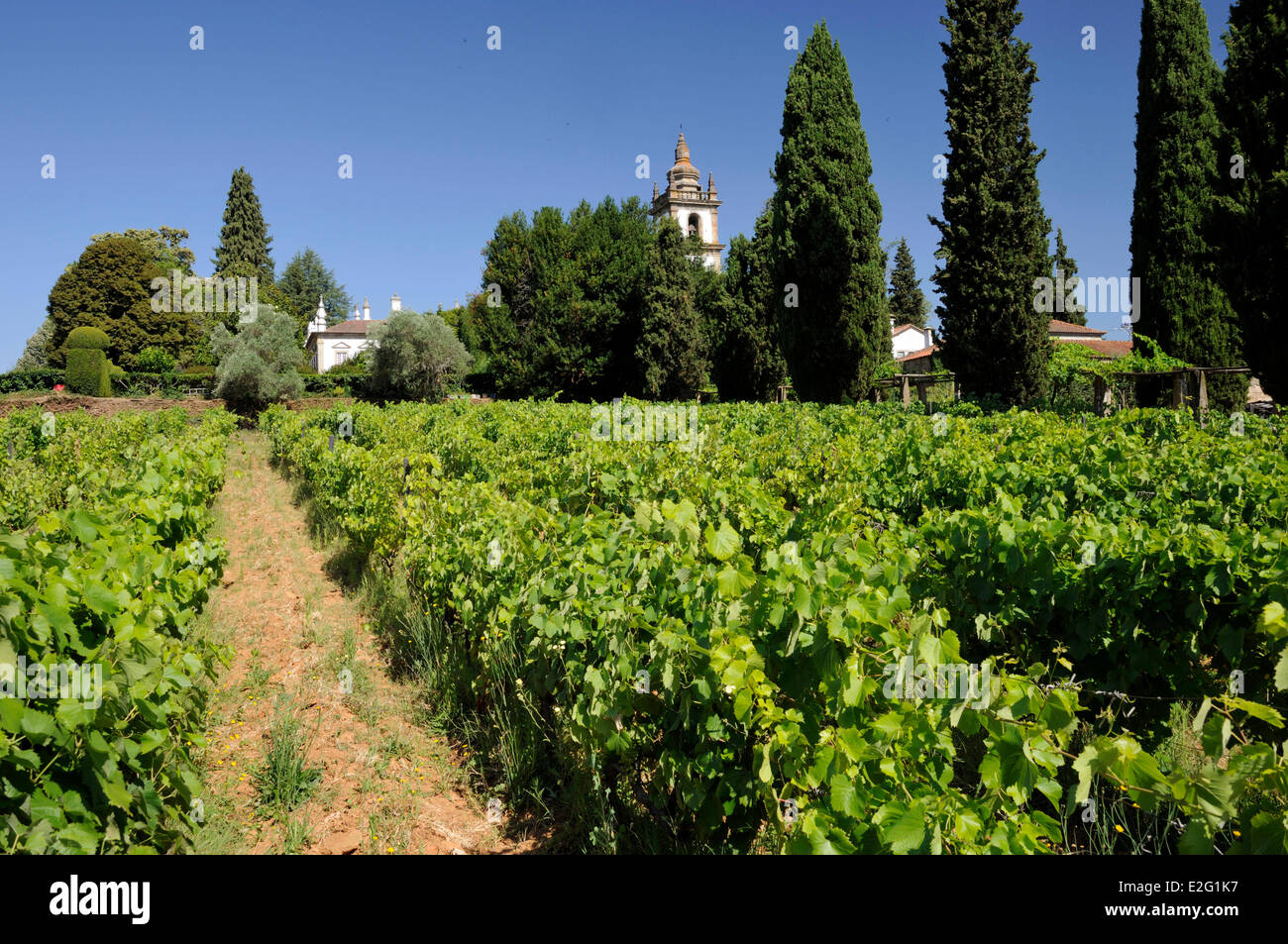 Portugal Douro Vila Real Solar de Mateus Mateus Herrenhaus in der ersten Hälfte des 18. Jahrhunderts von Nicolau Nasoni in eine Stockfoto