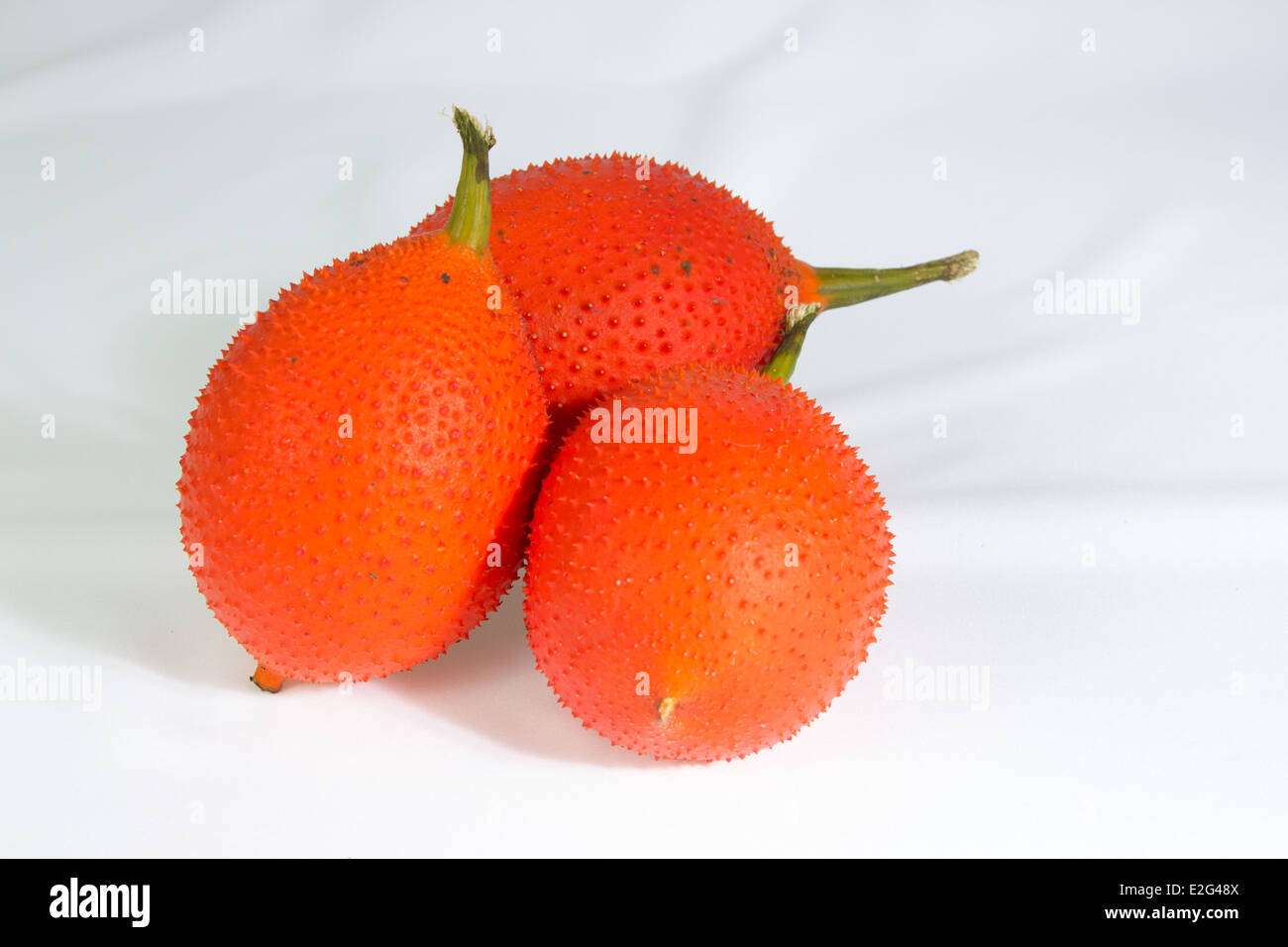 Baby Jackfrucht tropische Früchte Stockfoto