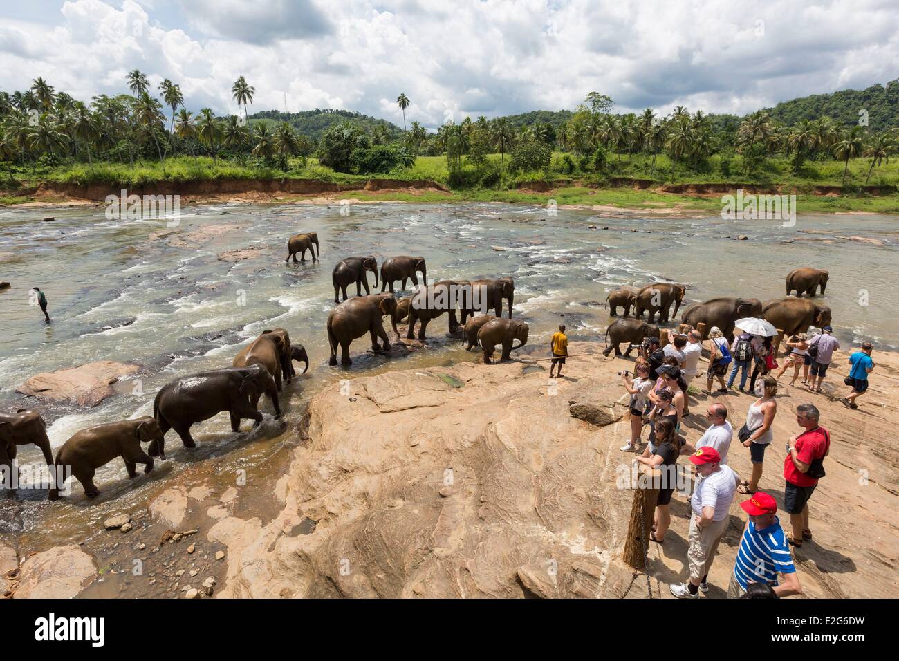 Sri Lanka Sabaragamuwa Provinz Ratnapura Bezirk Pinnawala Elefanten Waisenhaus Touristen beobachten, die Elefanten (Elephas Stockfoto