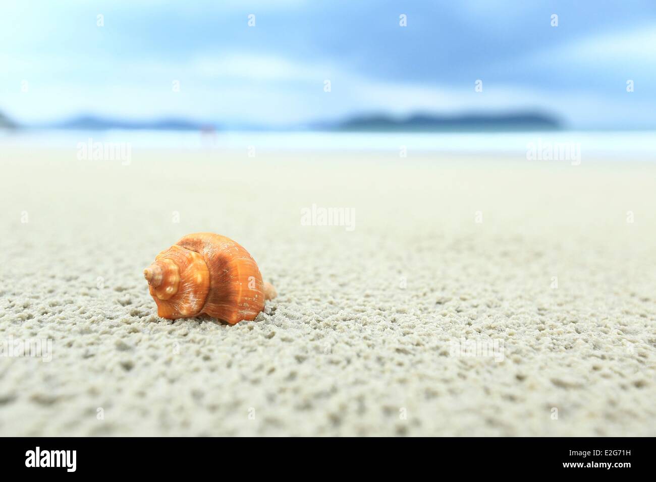 Malaysia Kedah Zustand Andaman Meer Langkawi Insel Pantai Cenang Muschel am Strand Stockfoto