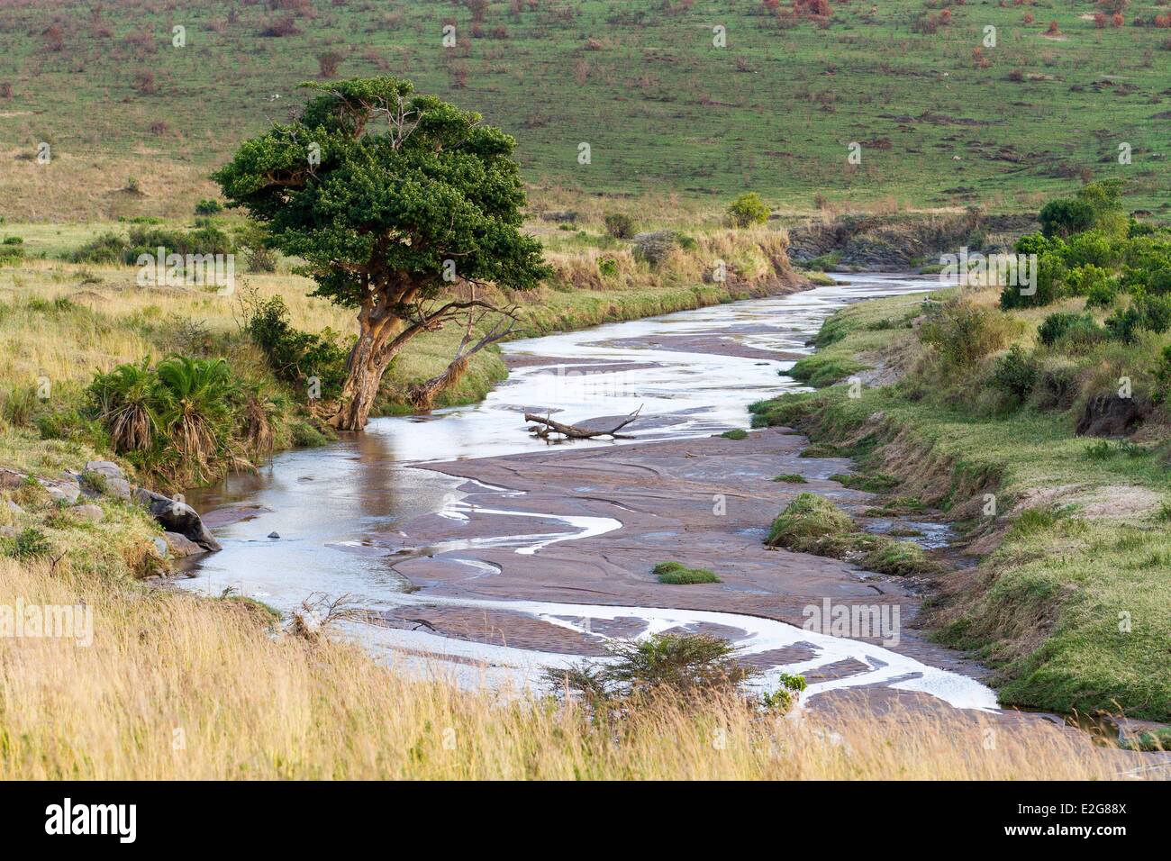Kenia-Masai-Mara Wildgehege Sand river Stockfoto