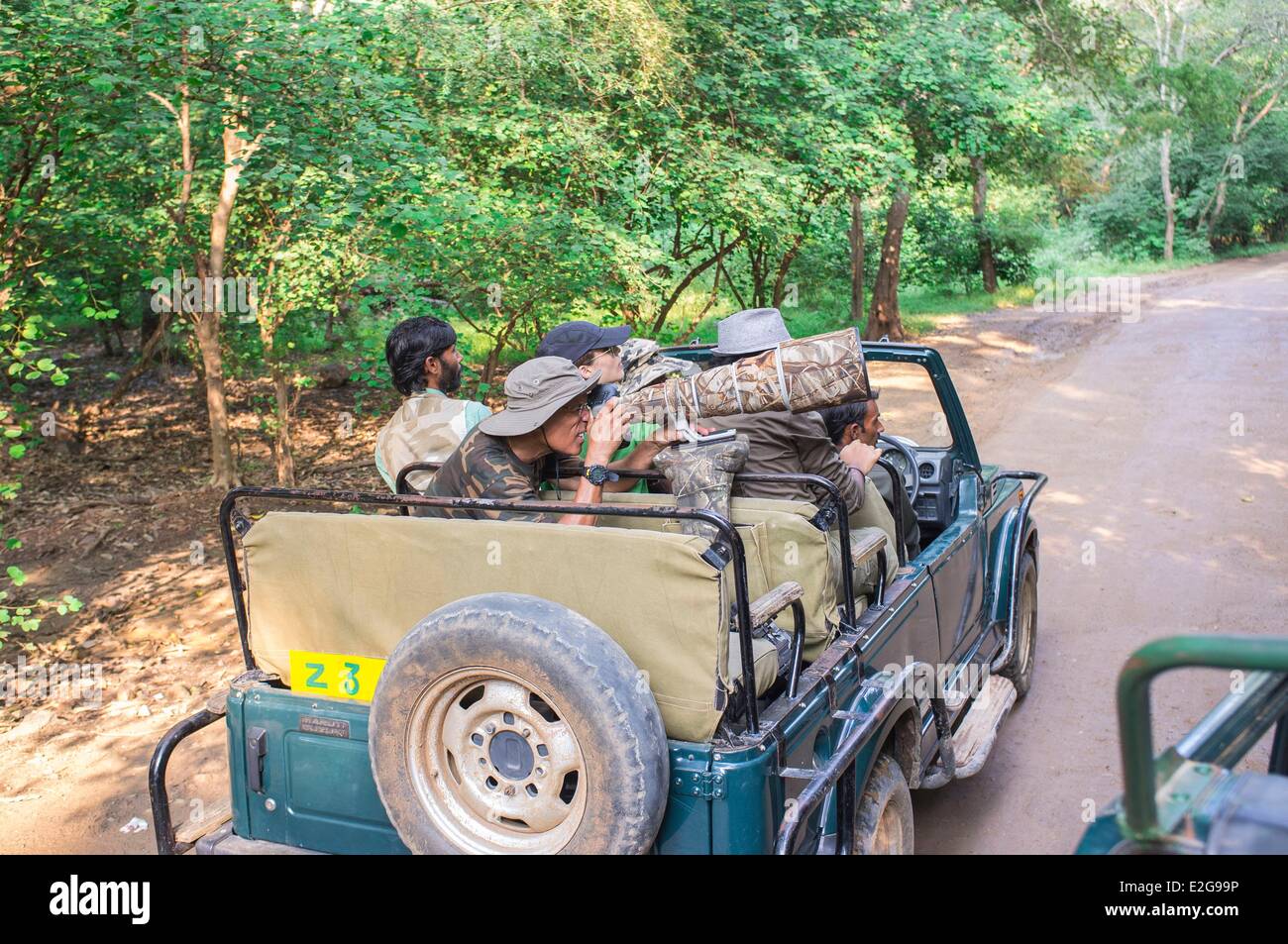 Indien Rajasthan State Ranthambore Nationalpark Sawai Madhopur Safari im park Stockfoto