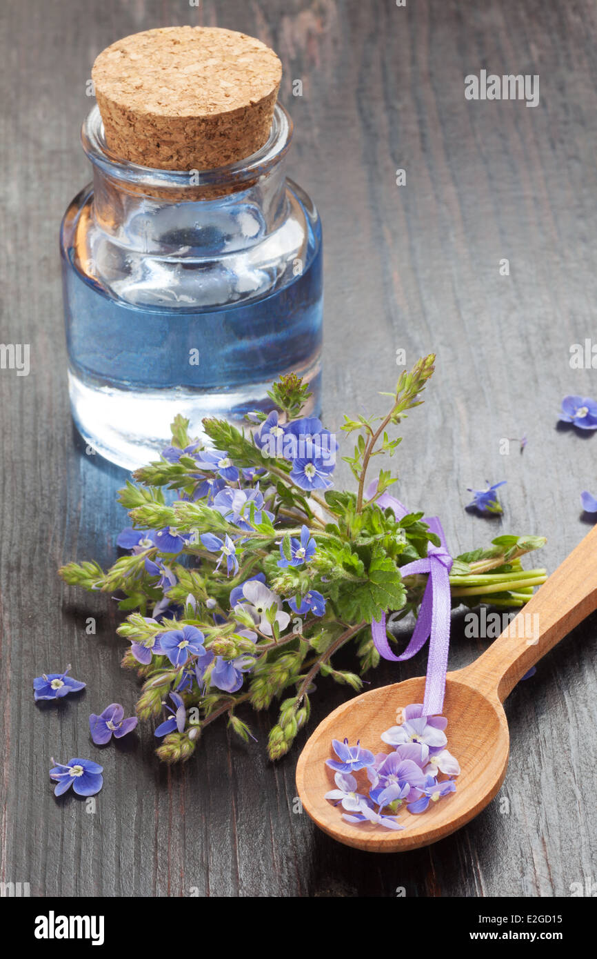 blaue ätherisches Öl in Glasflasche, Holzlöffel und heilende Blumen auf Tisch Stockfoto