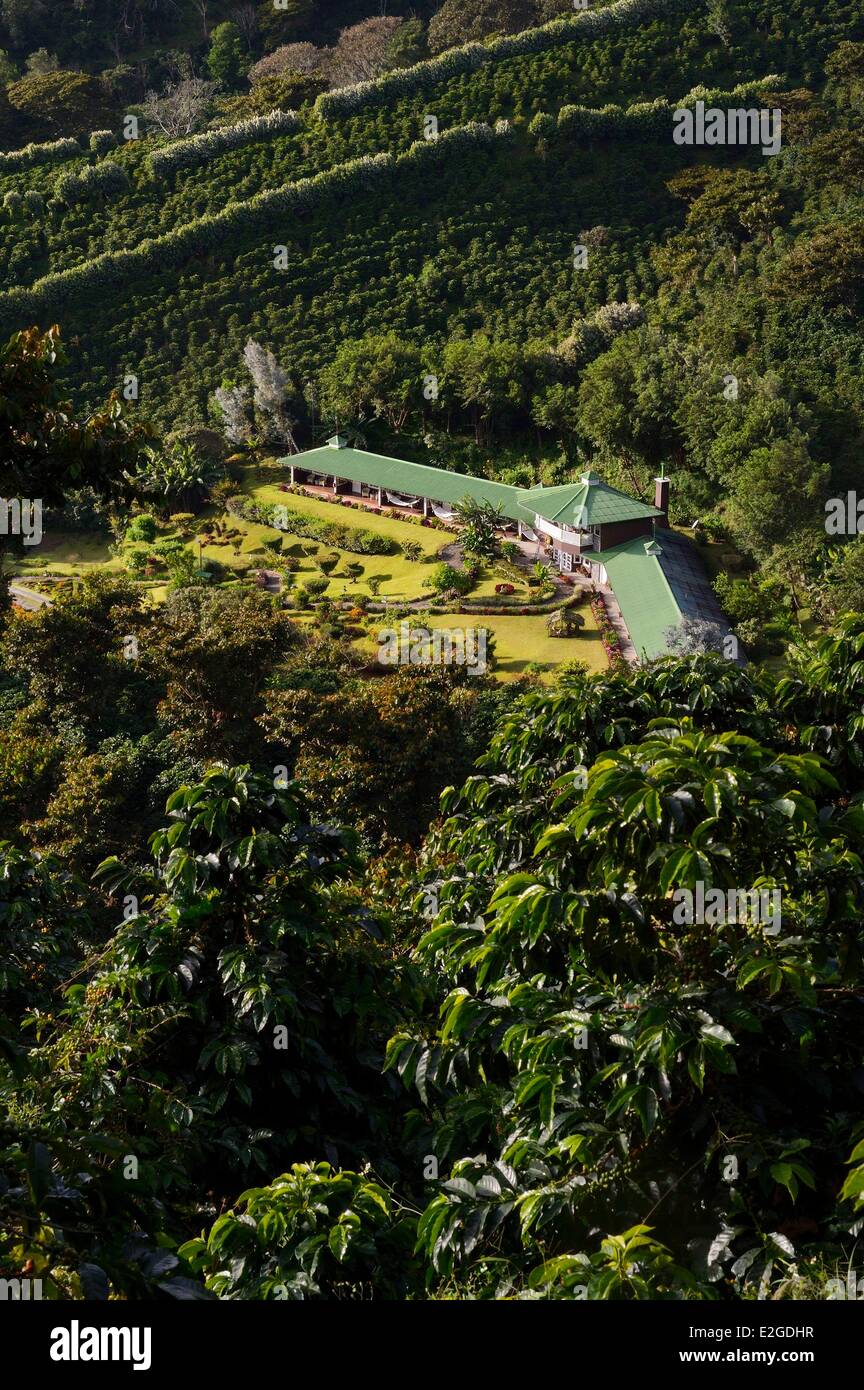 Panama Chiriqui Provinz Boquete Kaffee Plantage Finca Lerida an den Hängen des Volcan Baru Hotels Stockfoto