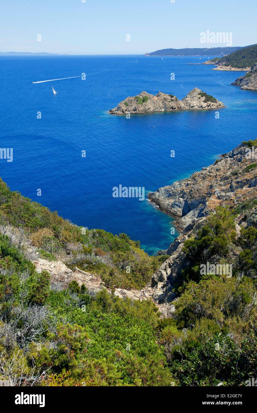 Frankreich Var Hyeres Inseln National Park von Port Cros Insel Port Cros Beere Palud Rock Rascas Stockfoto