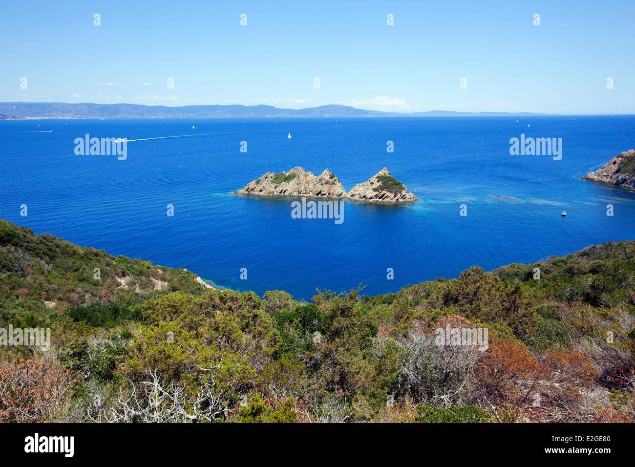 Frankreich Var Hyeres Inseln National Park von Port Cros Insel Port Cros Beere Palud Rock Rascas Stockfoto