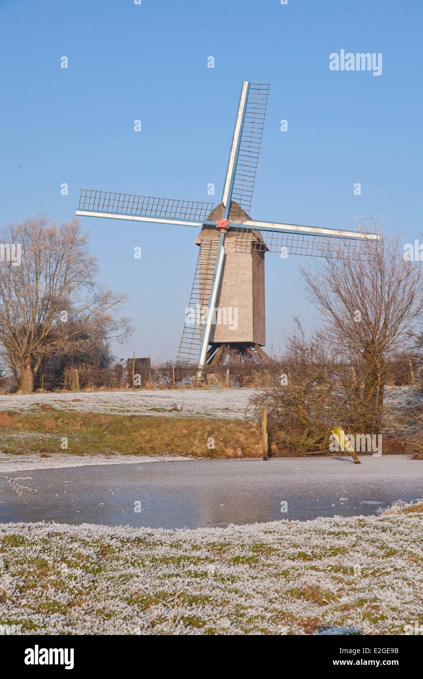 Frankreich Nord Pitgam Mühle Den Leeuw von 1774 Stockfoto