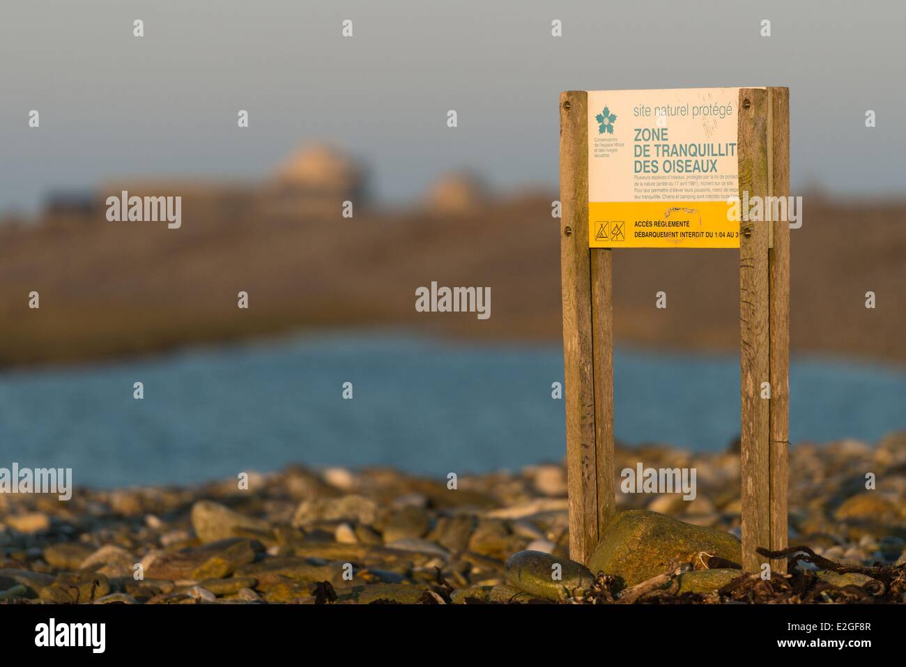 Naturschutzgebiet Frankreich Finistere Le Conquet auf Quemenes Insel im Archipel von Molene Stockfoto