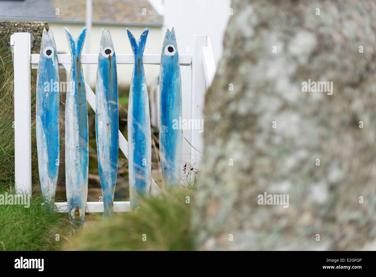 Frankreich Finistere Ile de Sein Detail typisches Haus im Dorf Stockfoto