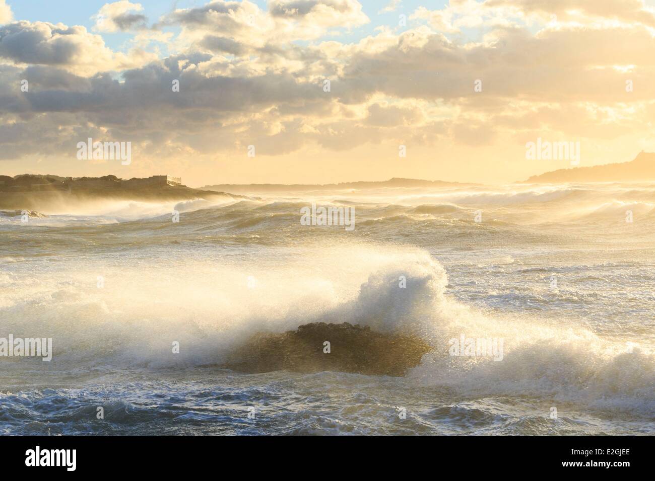 Frankreich Var sechs vier Les Plages Île des Embiez Windstoß Mistral Stockfoto