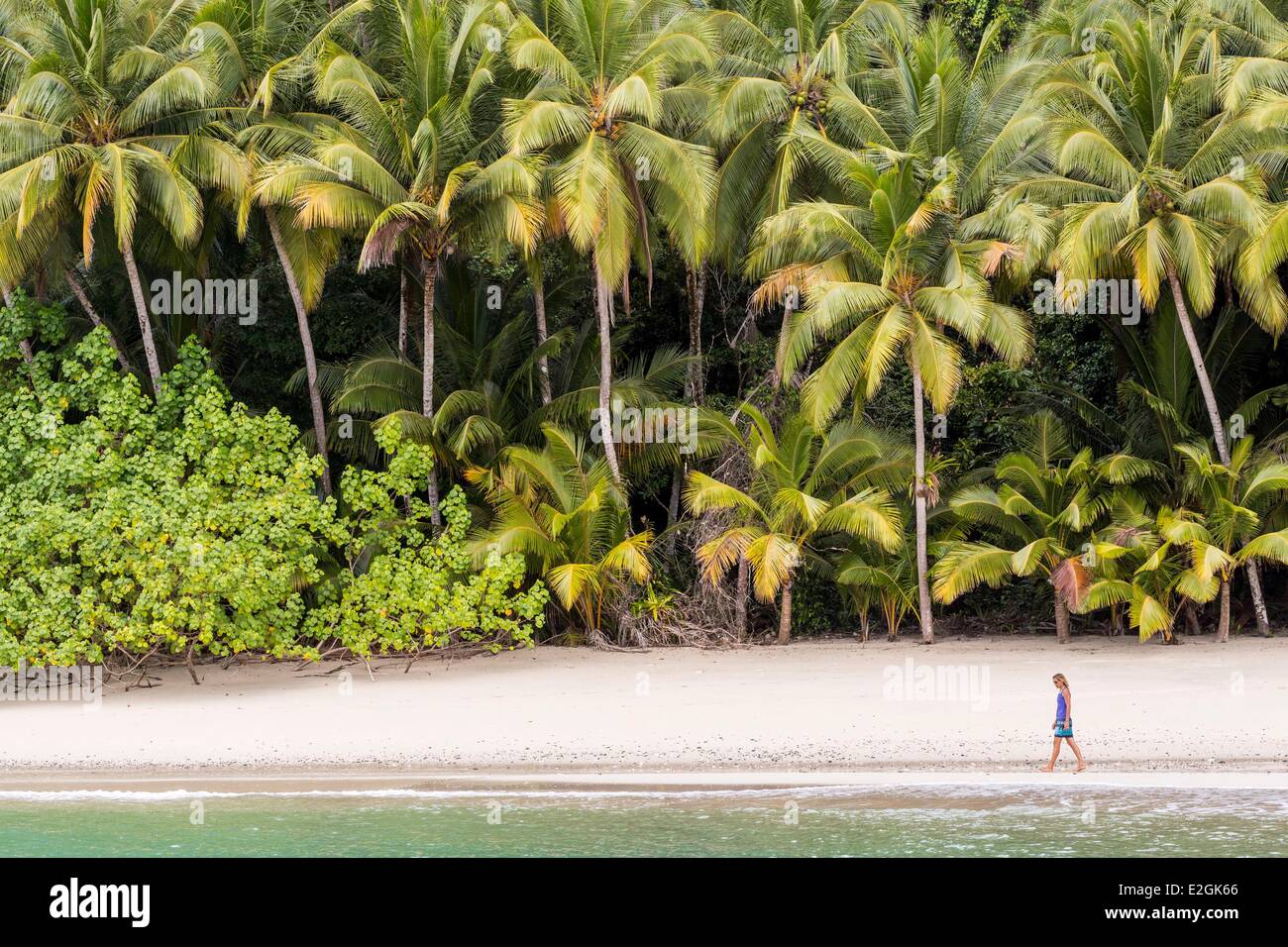 Provinz Veraguas Panama als Weltkulturerbe von der UNESCO seit 2005 Rancheria Insel Palmen gesäumten Strand Golf von Chiriquí Nationalpark Coiba aufgeführt Stockfoto