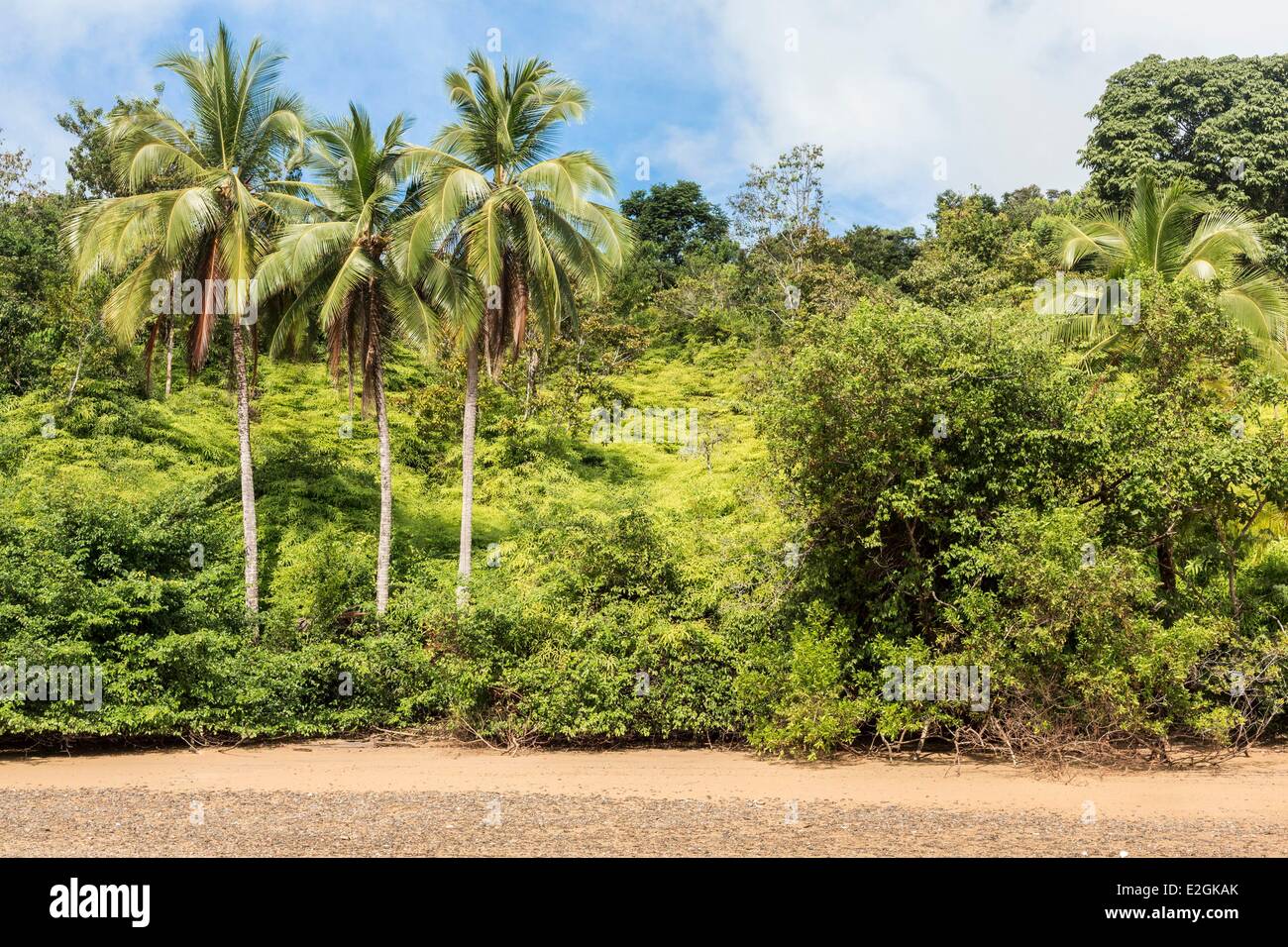 Panama Veraguas Provinz Golf von Chiriquí Nationalpark Coiba als Weltkulturerbe der UNESCO gelistet, seit 2005 Coiba Insel Strand Stockfoto