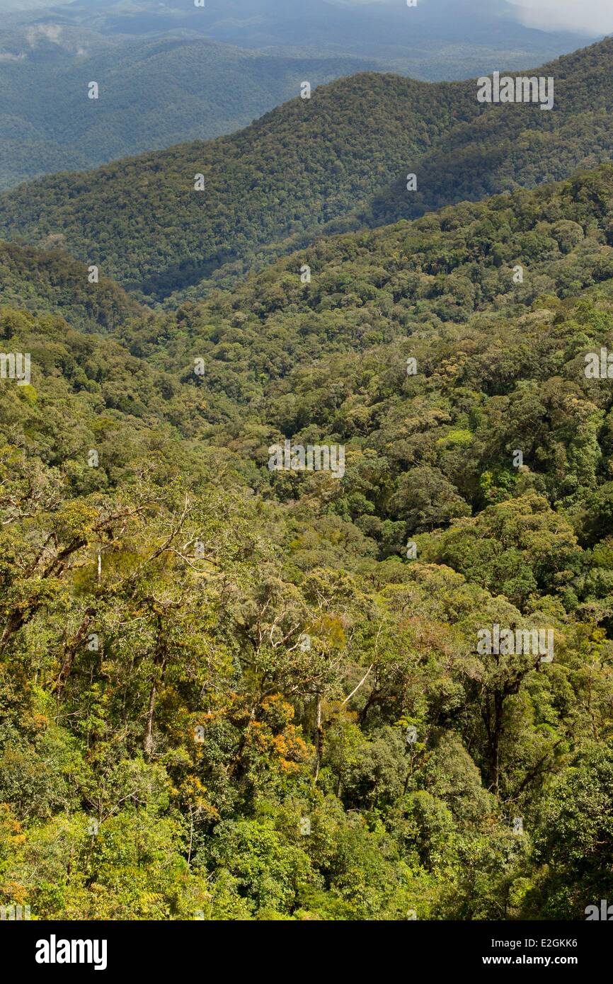 Indonesien Sumatra Insel Aceh Provinz Ladia Galaska Straße Regenwald Stockfoto