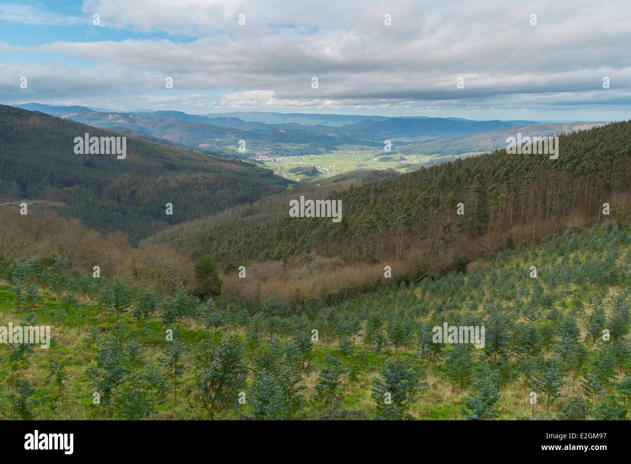 Spanien Galizien Landschaft der Kantabrischen Berge am Mondonedo in Richtung Lugo Stockfoto