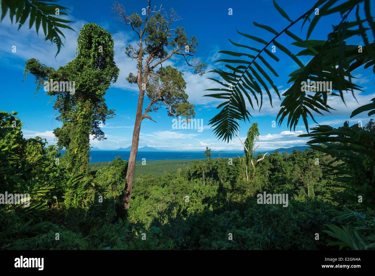 Papua-Neu-Guinea New Britain Island West New Britain Provinz Flugplatz Viertel Kimbe Stockfoto