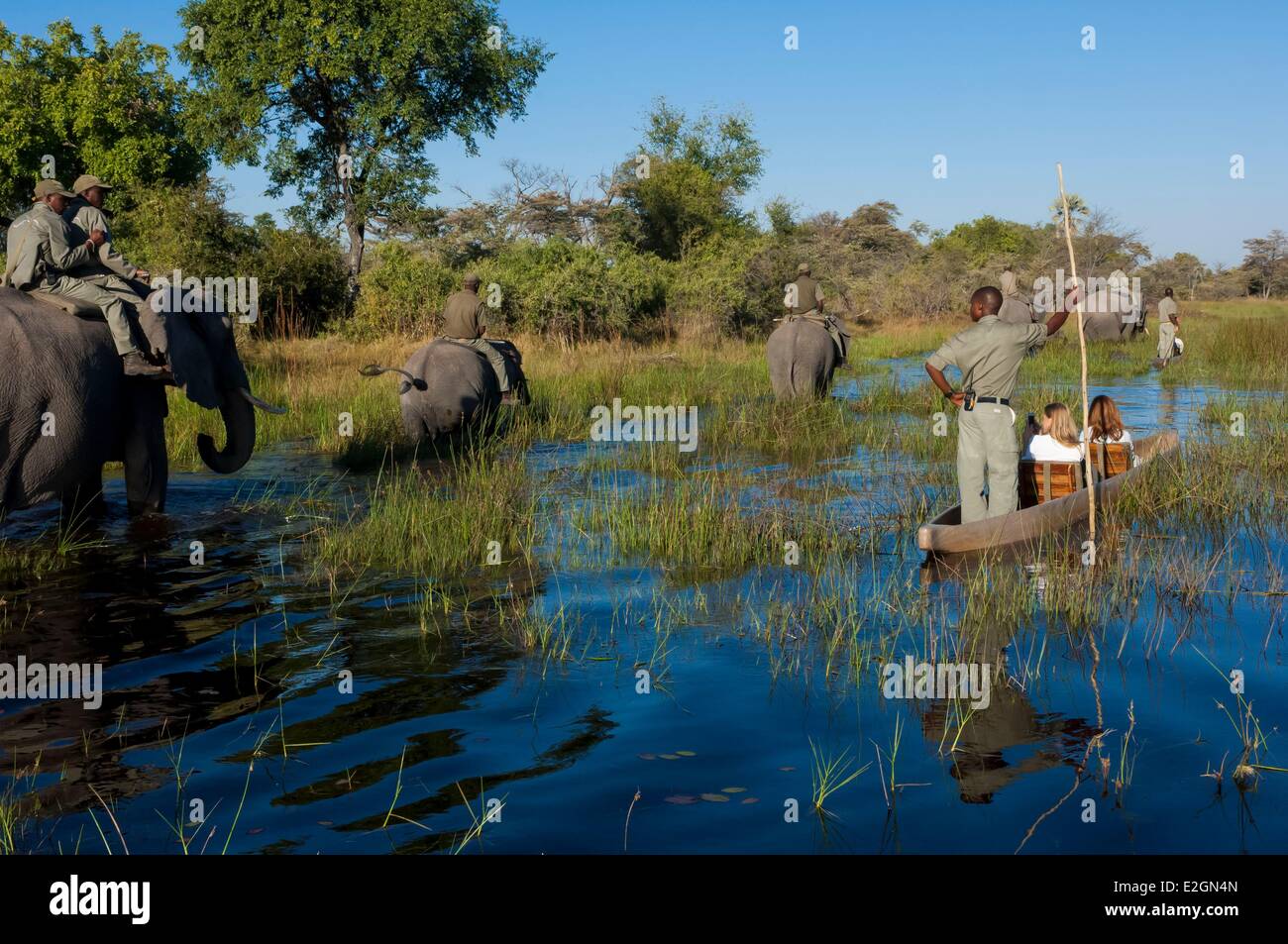 Botswana North West District Okavango Delta Abu Lodge Safari auf dem Rücken eines Elefanten und mit dem Kanu Stockfoto