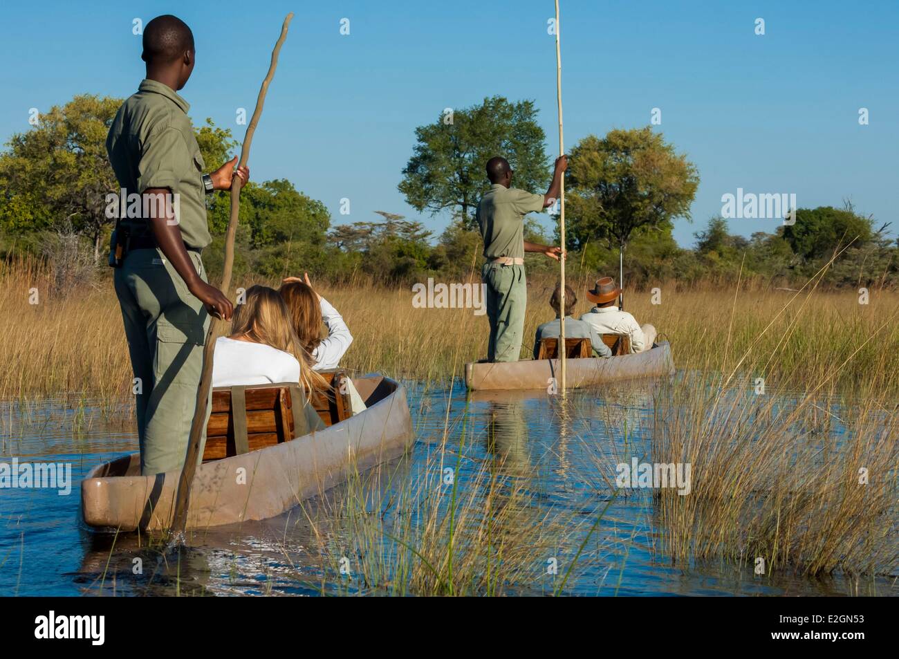 Botswana North West District Okavango Delta Abu Lodge safari Stockfoto