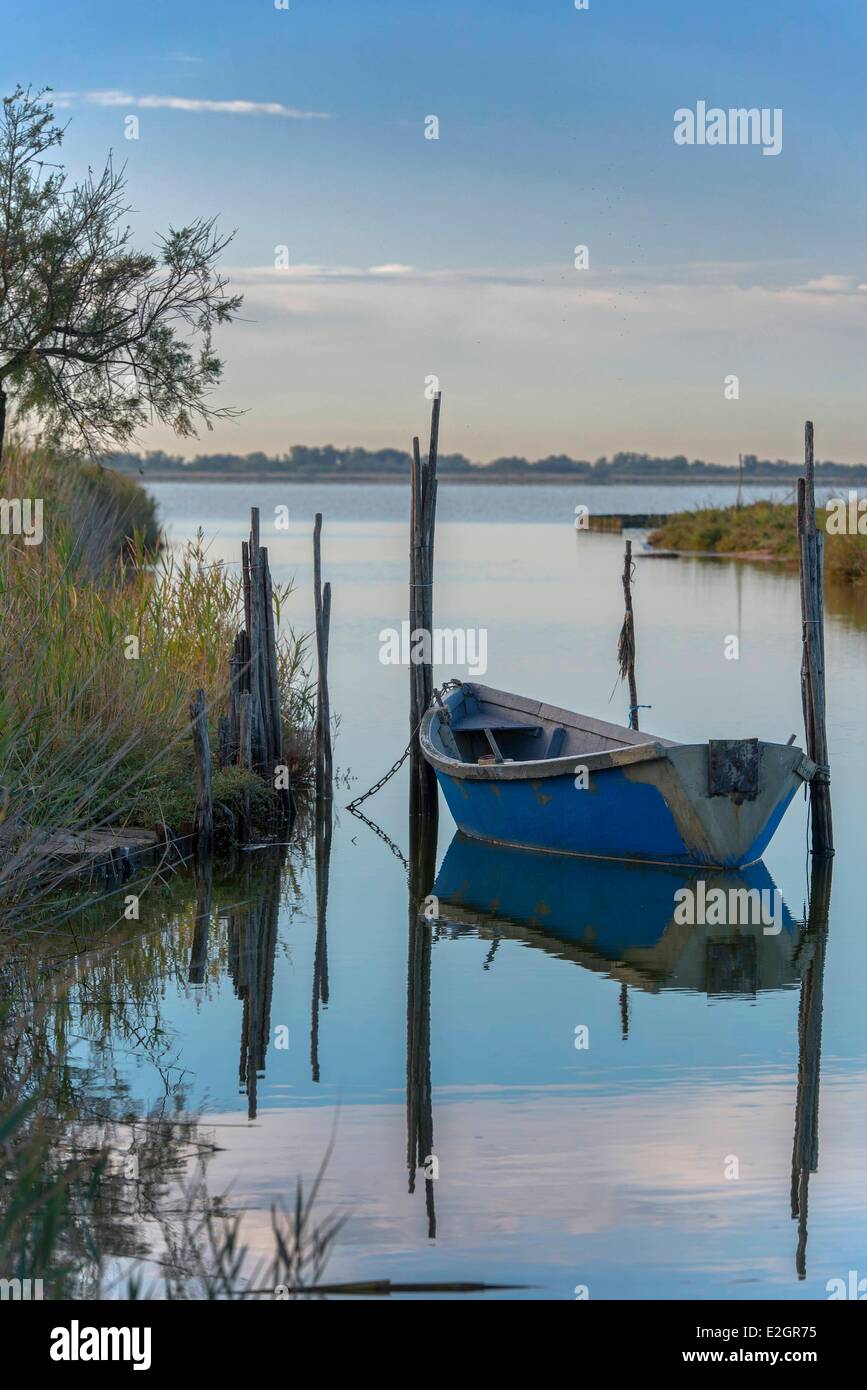 Frankreich Herault Camargue Etang de l ' oder Stockfoto