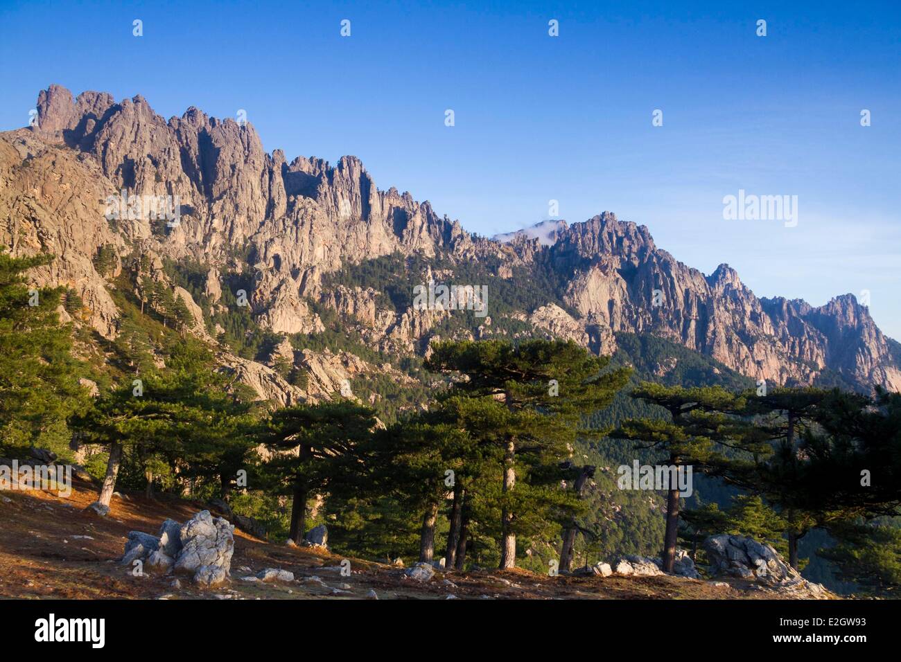 Frankreich Corse du Sud Alta Rocca Quenza Aiguilles de Bavella Stockfoto