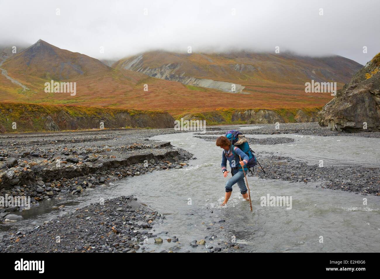 Vereinigte Staaten Alaska Denali Nationalpark Mount McKinley Wandern in Glacier Creek Flussüberquerung Stockfoto