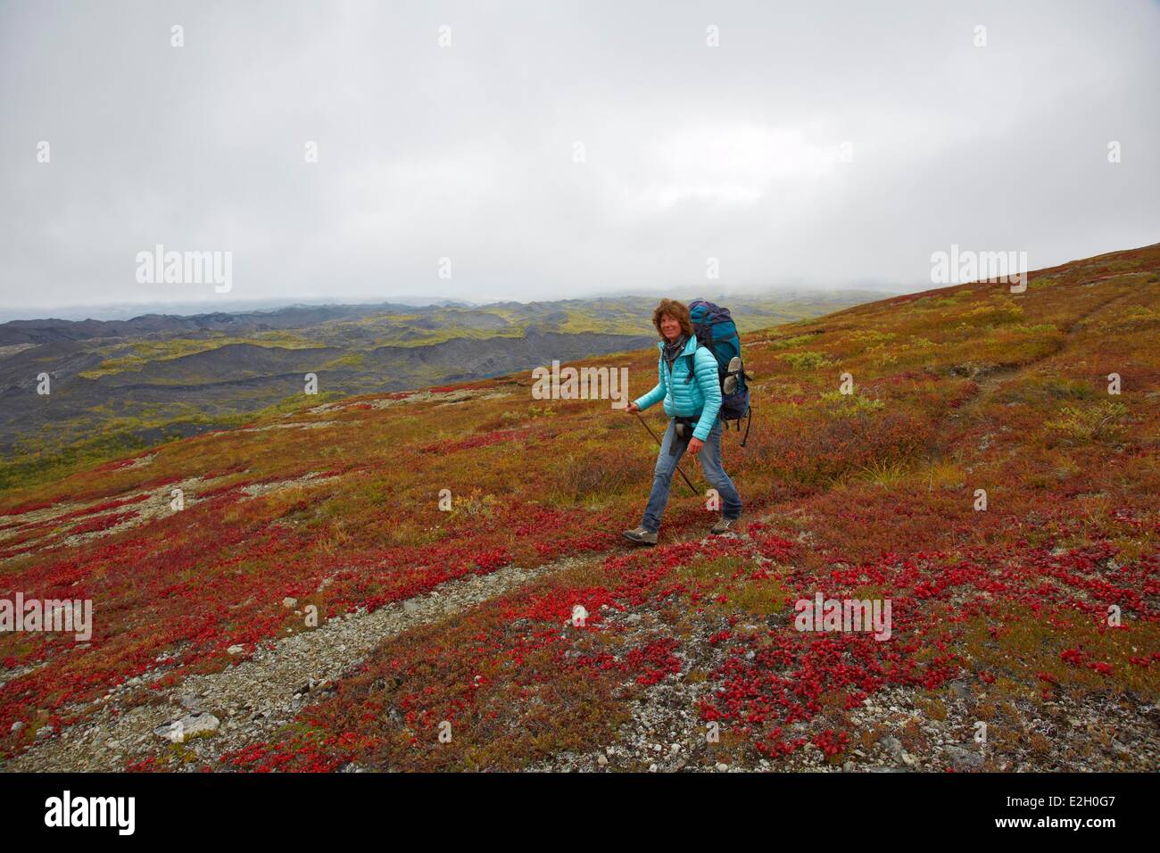 Vereinigte Staaten Alaska Denali Nationalpark Mount McKinley Wandern in Glacier Creek Stockfoto