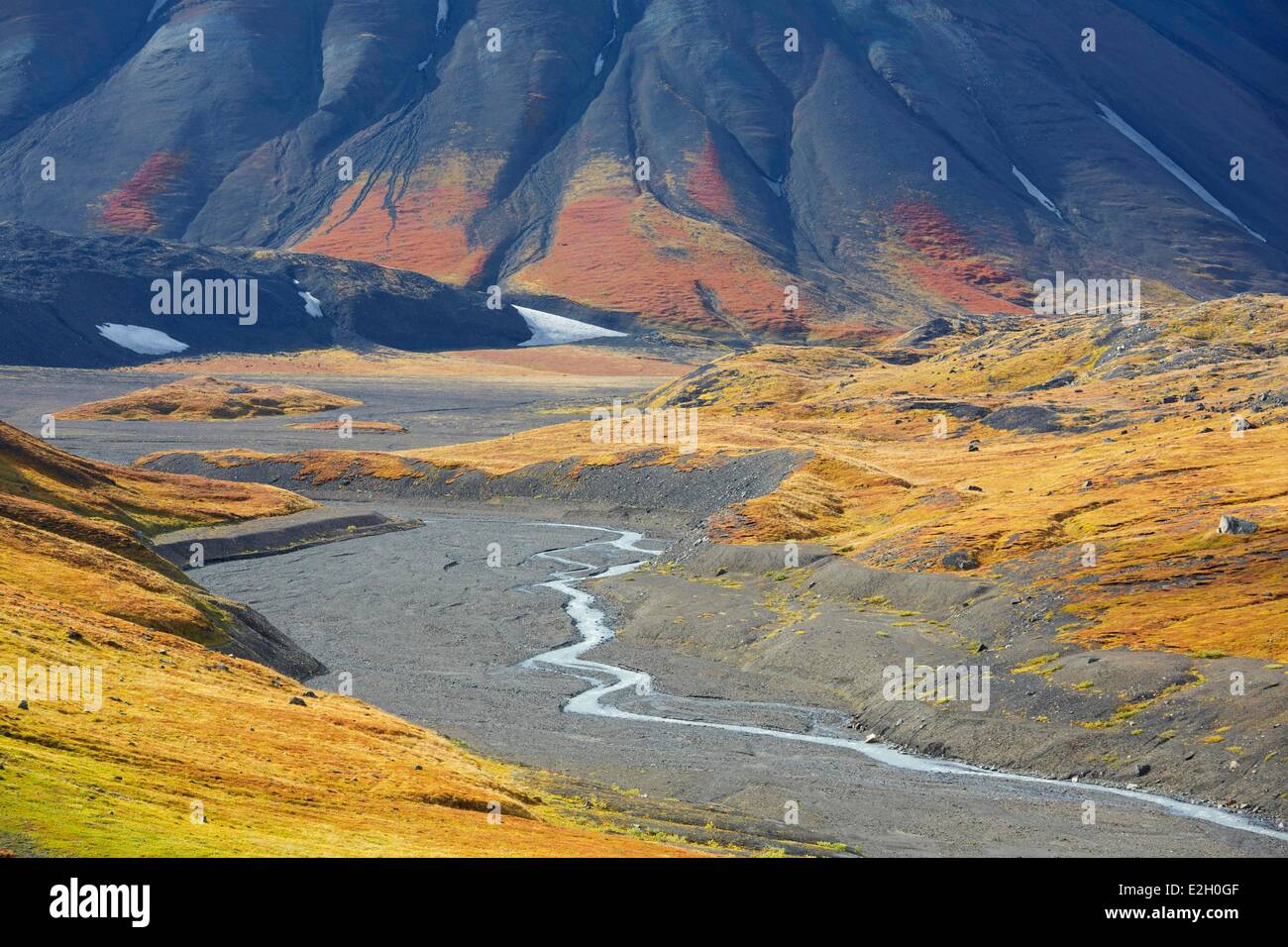 Vereinigte Staaten Alaska Denali Nationalpark Mount McKinley Glacier Creek-Tal Stockfoto