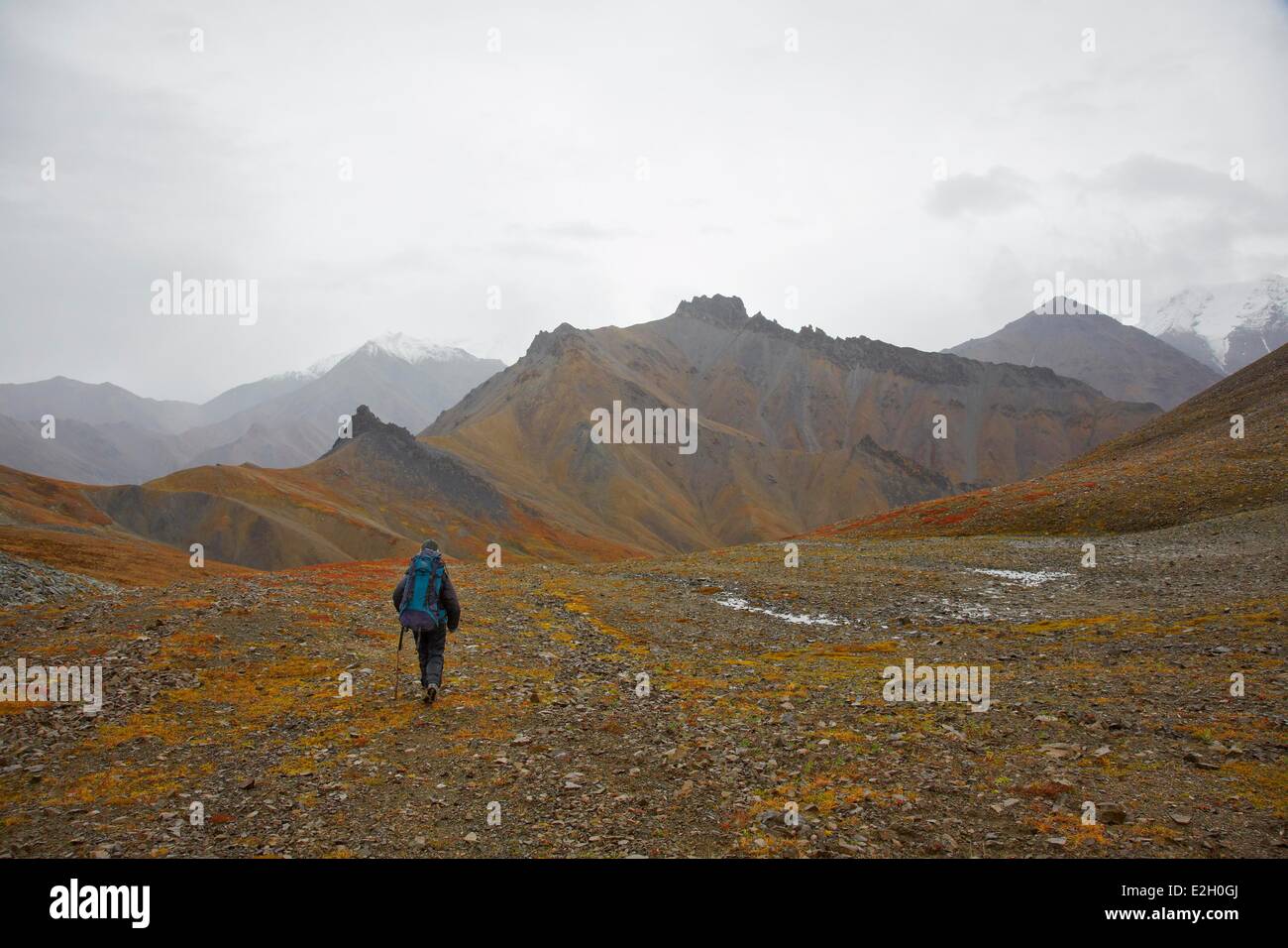 Vereinigte Staaten Alaska Denali Nationalpark Mount McKinley Wandern in Glacier Creek Stockfoto