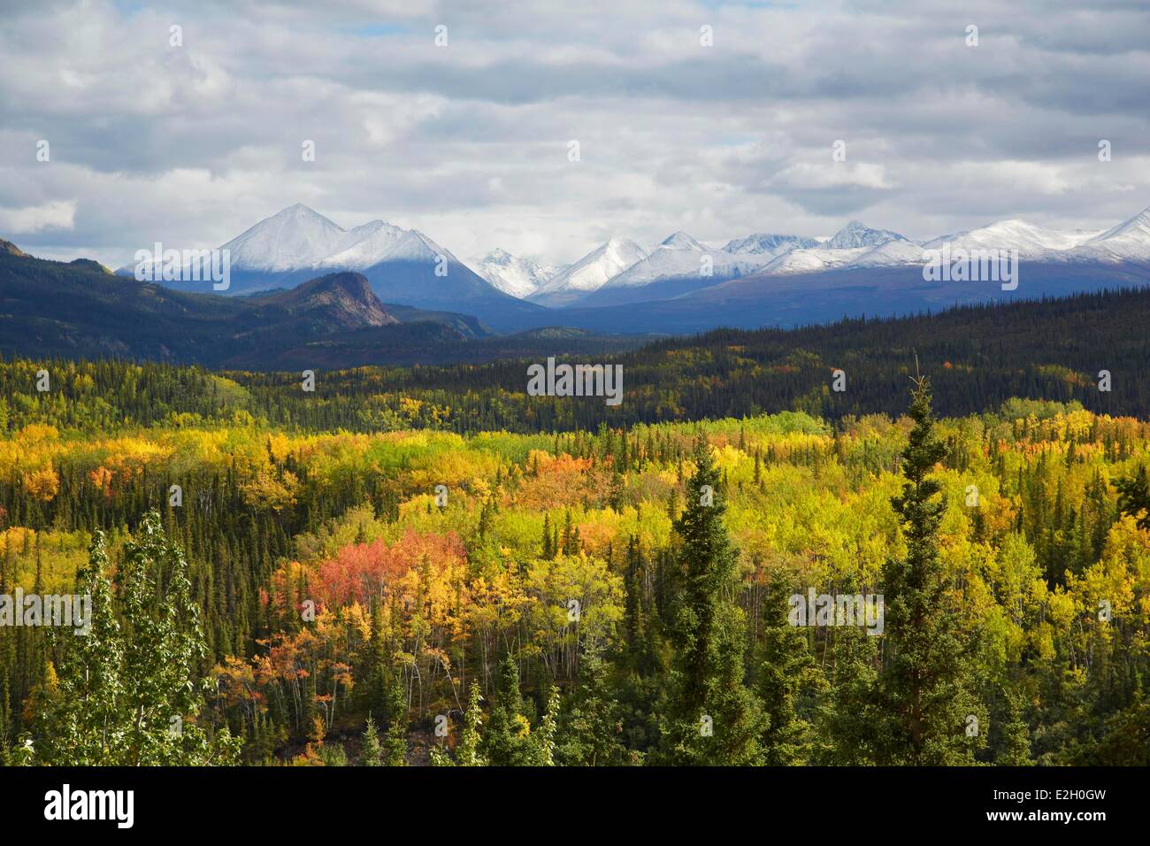 Vereinigte Staaten Alaska Denali National Park Herbstfarben George Parks Highway Stockfoto