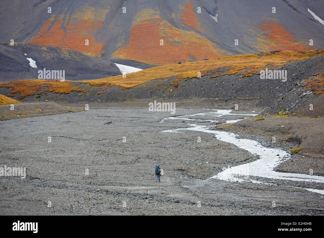Vereinigte Staaten Alaska Denali Nationalpark Mount McKinley Wandern in Glacier Creek Stockfoto