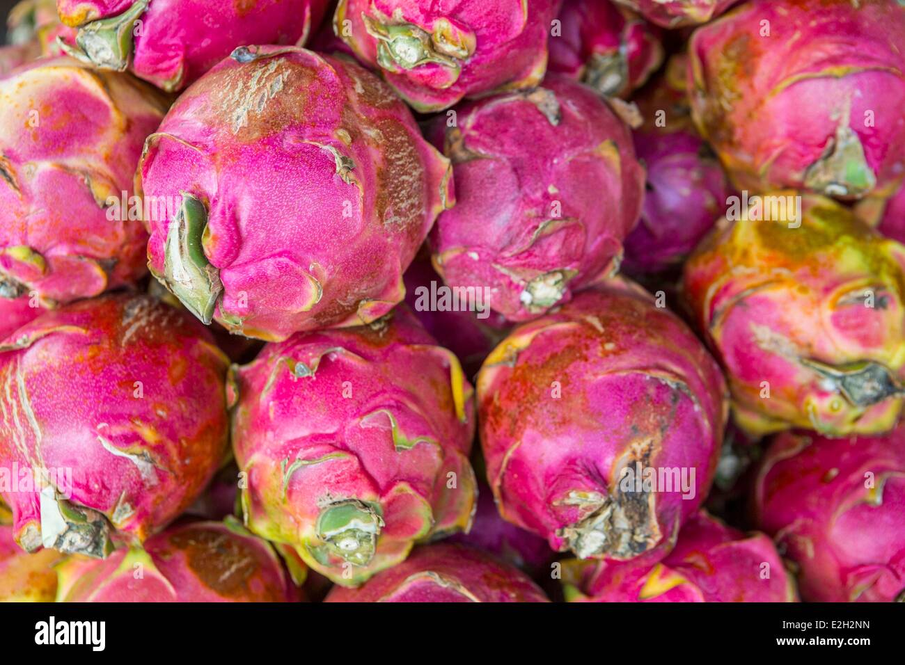 Kambodscha Südküste Kompong Song Provinz Sihanoukville Zentralmarkt oder Psar Leu pitaya Stockfoto