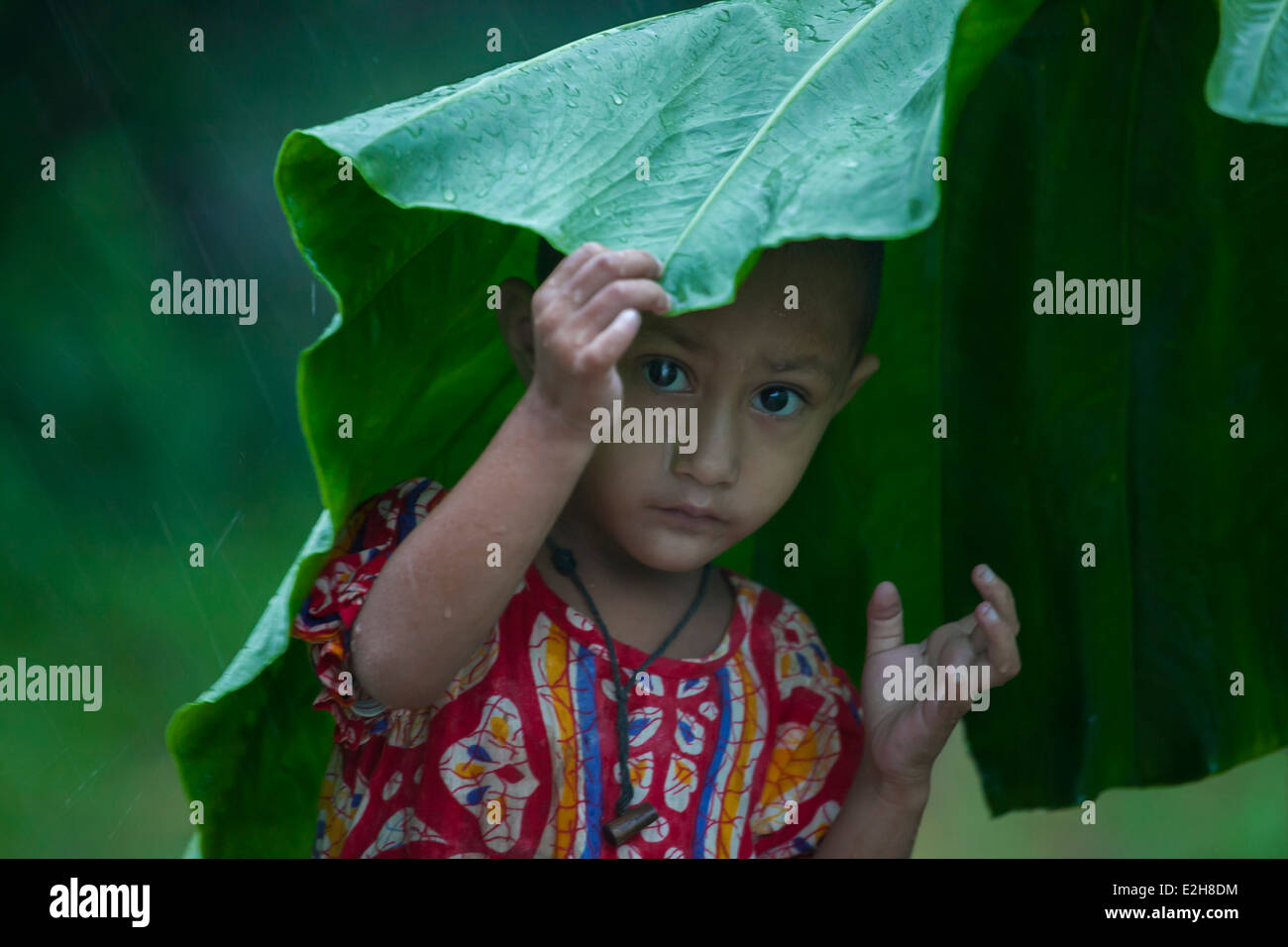 Kinder Bananenblätter verwendet, um sich vor Regen zu schützen Stockfoto