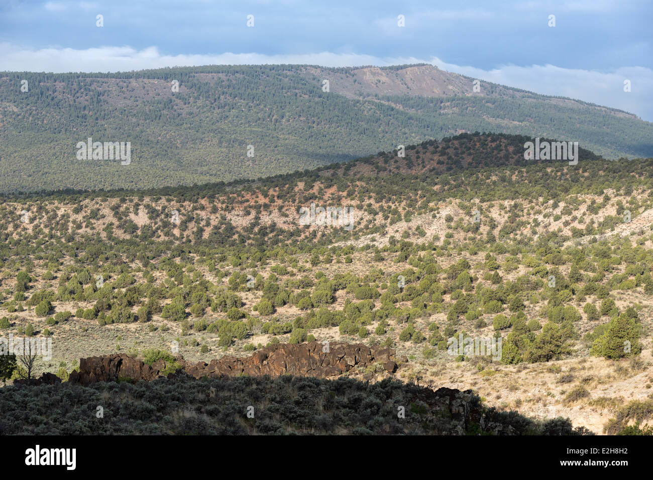 Alten Schlackenkegel im Grand Canyon - Parashant National Monument, Arizona. Stockfoto