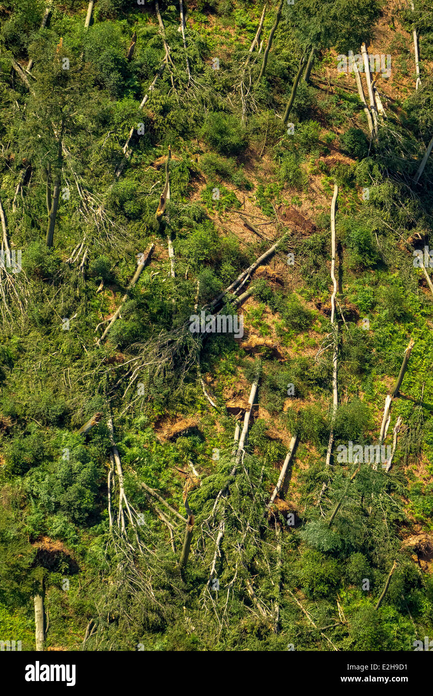 Schellenberger Wald, Wald mit Sturmschäden am 9. Juni 2014, Luftaufnahme, Essen, Ruhrgebiet, Nordrhein-Westfalen Stockfoto