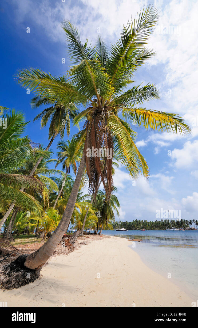 Einsamen Strand mit Palmen Bäume, tropische Insel Chichime Cays, San Blas Inseln, Panama Stockfoto