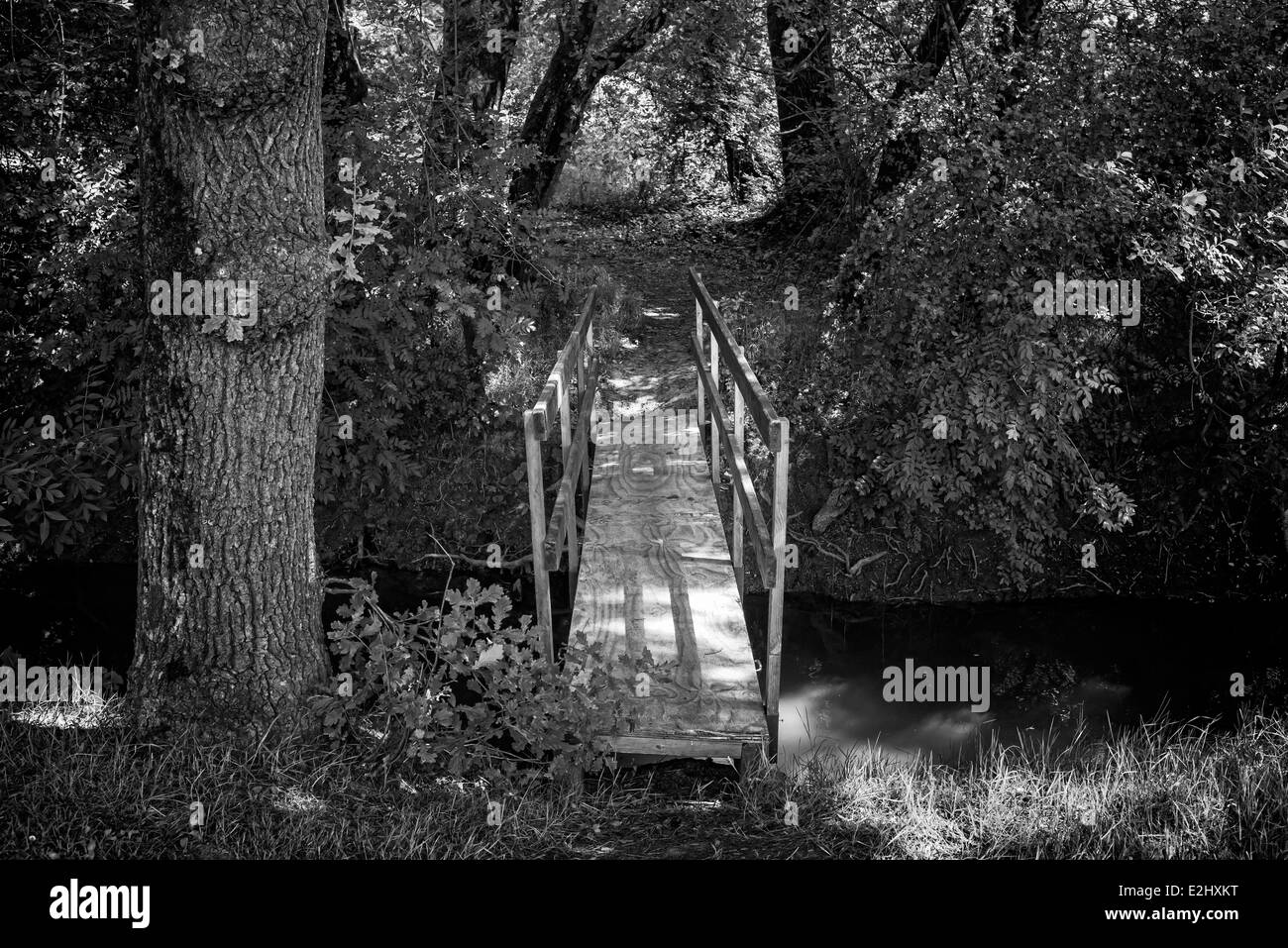 Fußgängerbrücke überqueren Stream, RiviÅre L'Ognon, Pont-Saint-Martin, Loire-Atlantique, Frankreich Stockfoto
