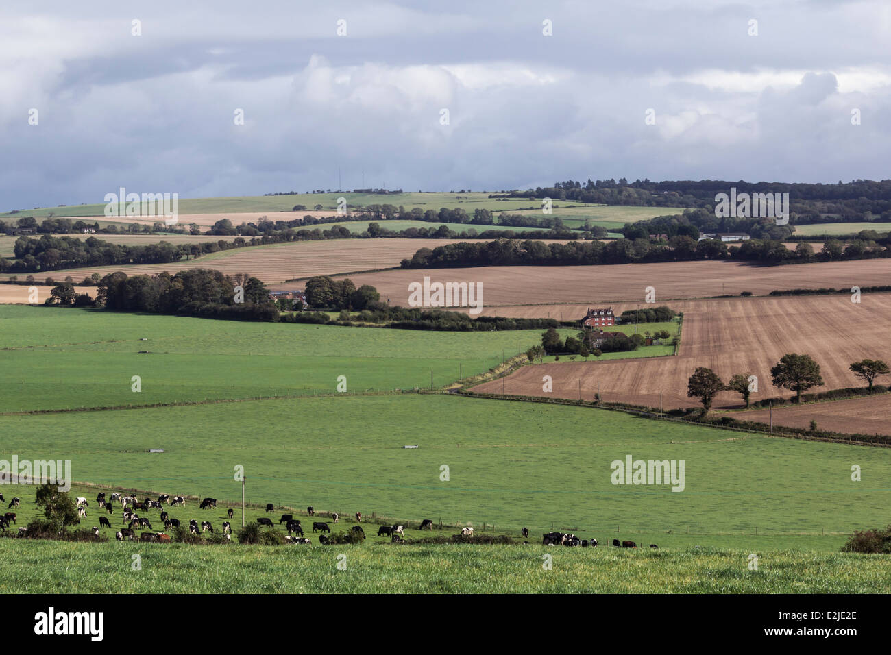 Meon Valley, South Downs, in der Nähe von Droxford, Hampshire, England, UK Stockfoto